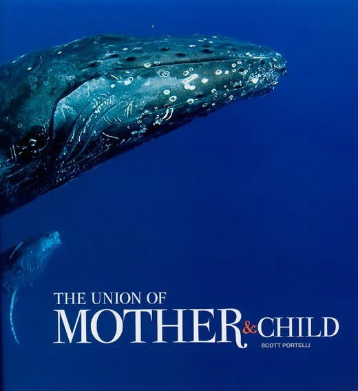 Book cover titled 'The Union of Mother & Child' by Scott Portell, featuring an underwater photograph of a whale shark in the ocean.