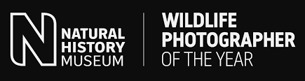 Logo for the Natural History Museum Wildlife Photographer of the Year