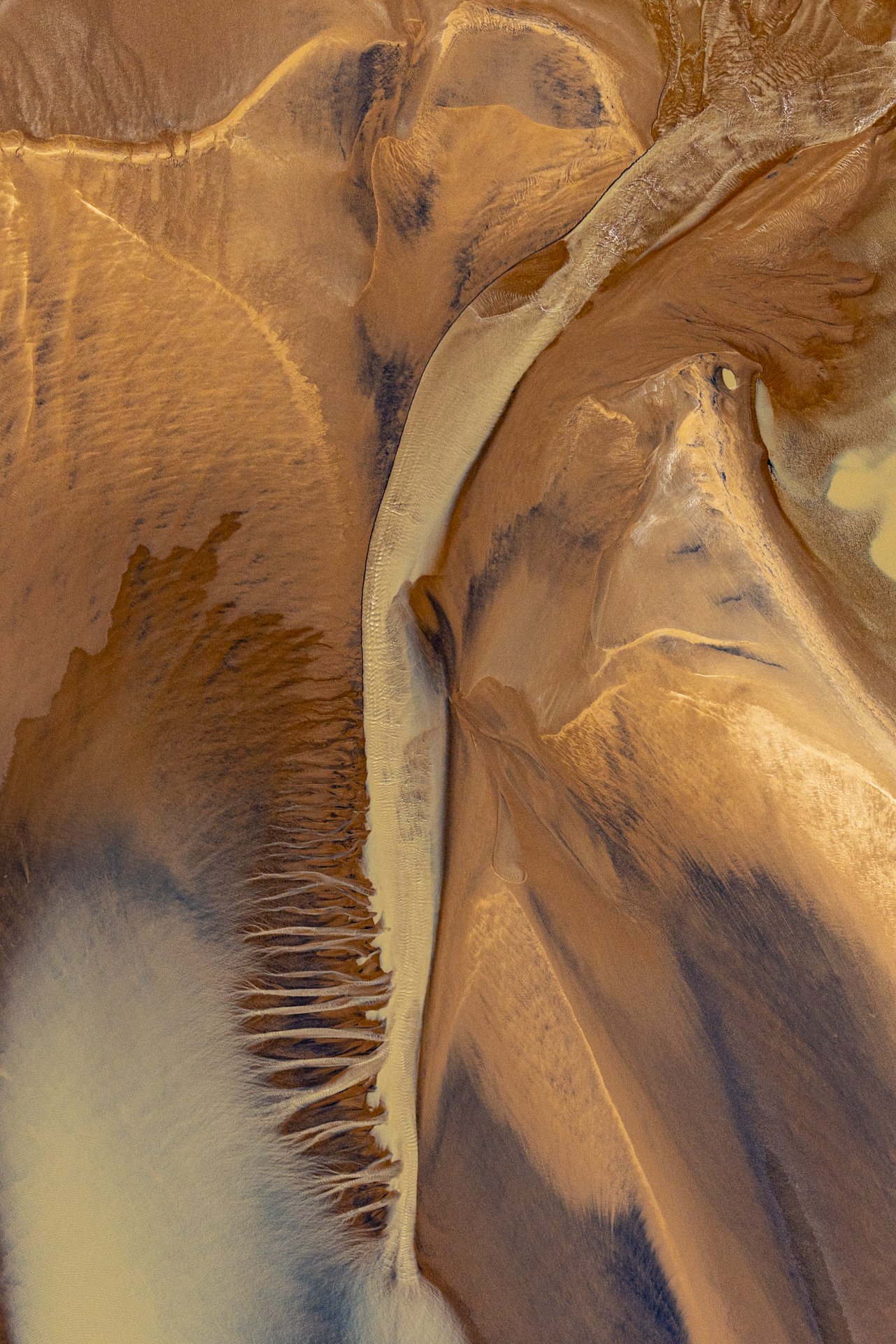 Close-up of a mushroom with brown and beige colors, showing gills and part of the cap.
