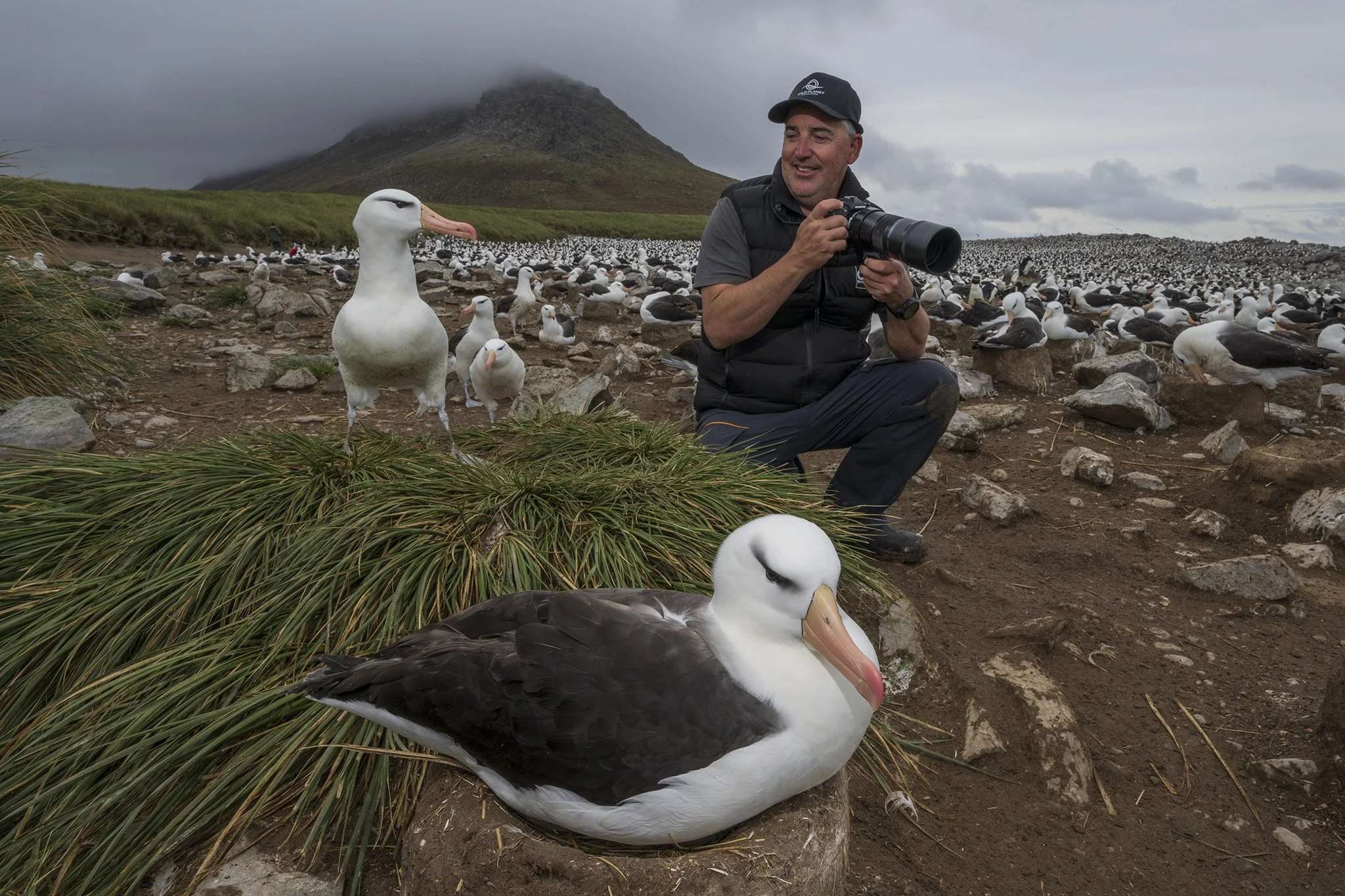 Scott Portelli photographing wandering albatrosses in South Georgia during a wildlife photography expedition.