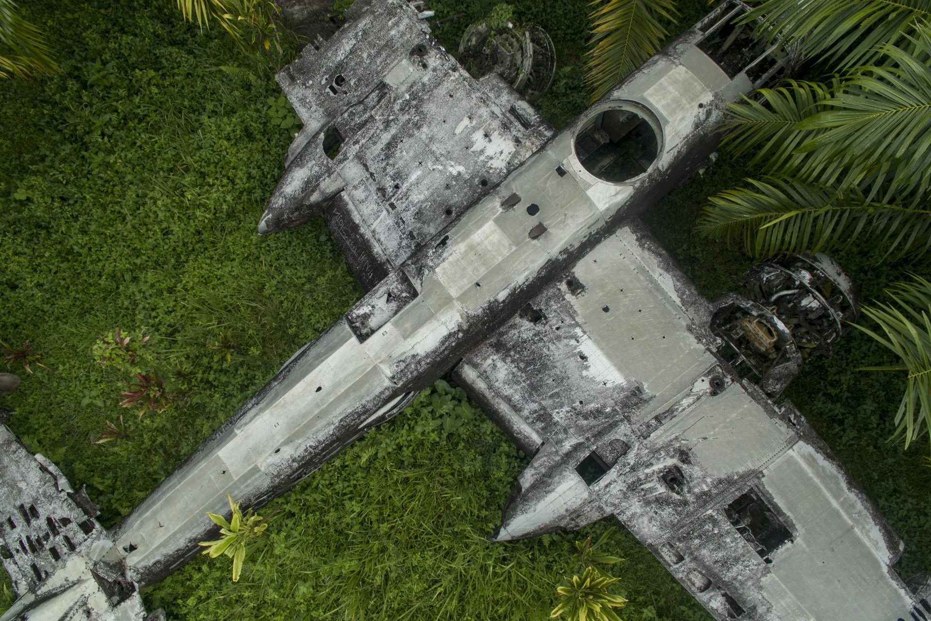 Aerial view of a wrecked, abandoned airplane fuselage overgrown by green plants and trees.