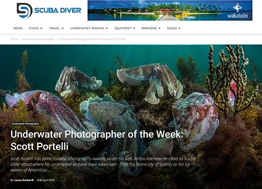 Underwater scene with various colorful octopuses and coral, featuring a headline about Scott Portelli, underwater photographer of the week.