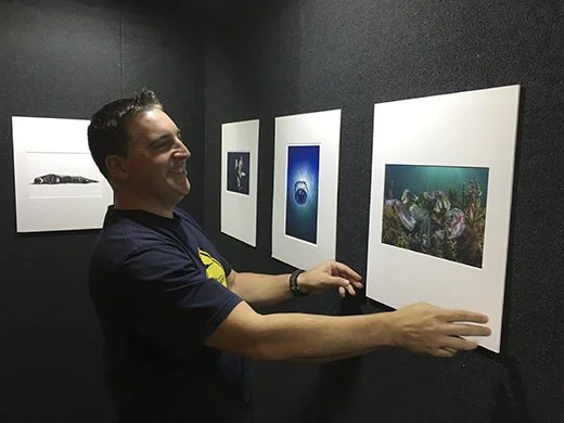 Scott Portelli wearing a black t-shirt with a yellow emblem, smiling and adjusting a framed underwater-themed painting in an art gallery with black walls, with several other framed artworks on the wall.