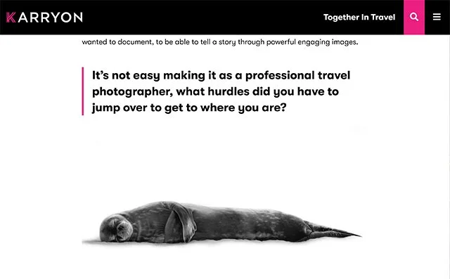 A sleeping seal lying on the ground in front of a travel website webpage with a humorous travel-related quote.
