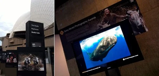 Photo of an exhibition area with digital screens displaying photography awards and underwater images, including a large marine animal on one screen.