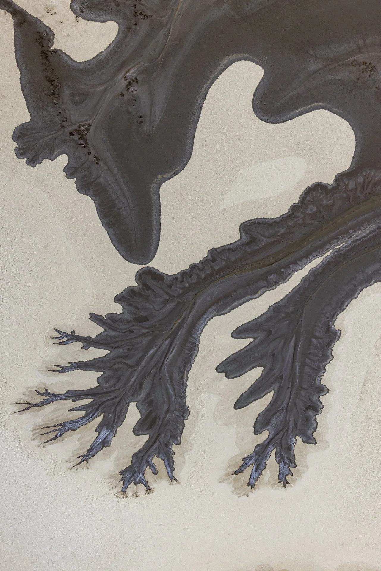 Abstract dark-colored salamander with tree-like legs on a light background.