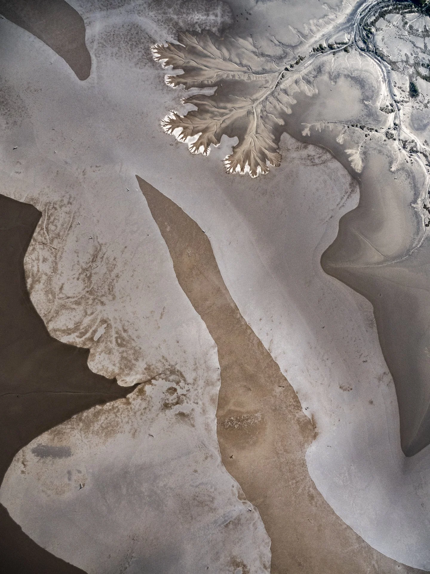 Aerial view of a dry riverbed with multiple branches and small pools of water, surrounded by sparse vegetation and land.