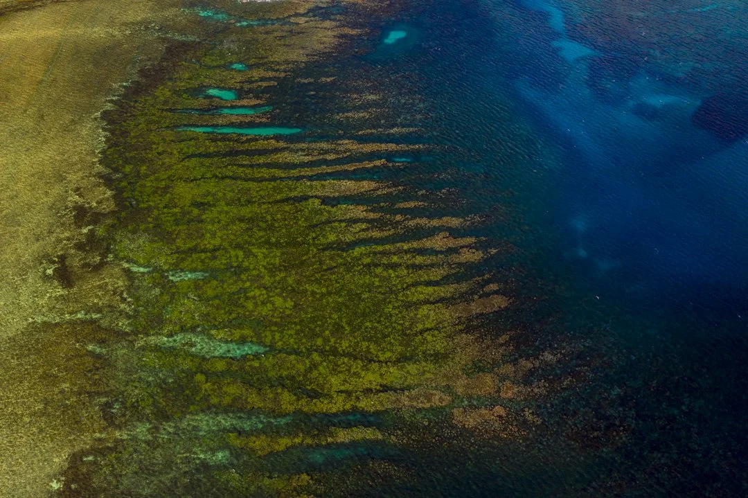 Aerial view of a coastline with clear turquoise waters on one side and green land on the other, featuring a pattern of submerged rocks or coral formations.
