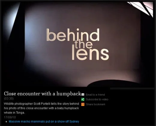 Title slide with the text "behind the lens" and a description of a wildlife photographer's story.