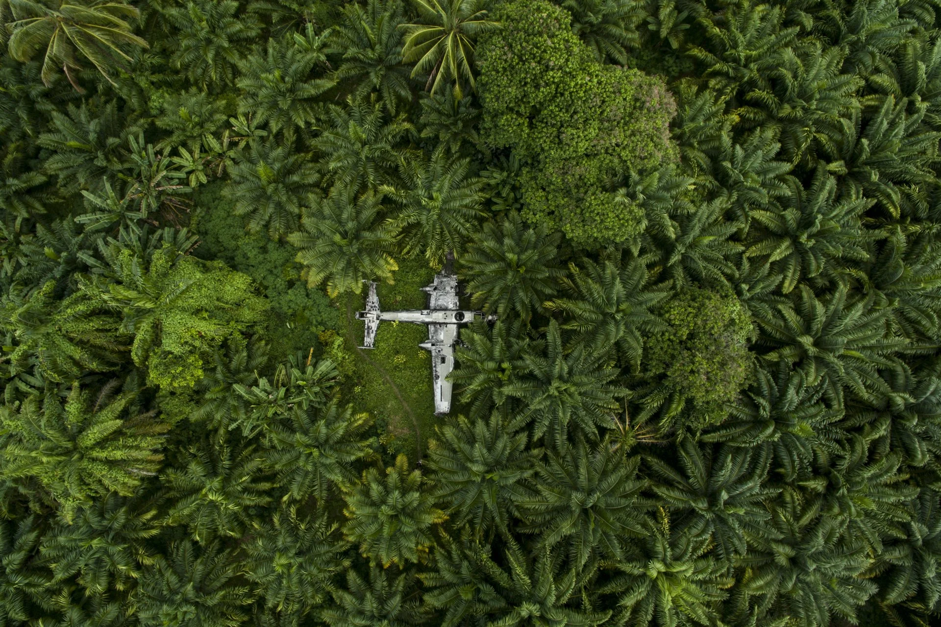 An aerial view of a dense tropical forest with an abandoned airplane in the center.