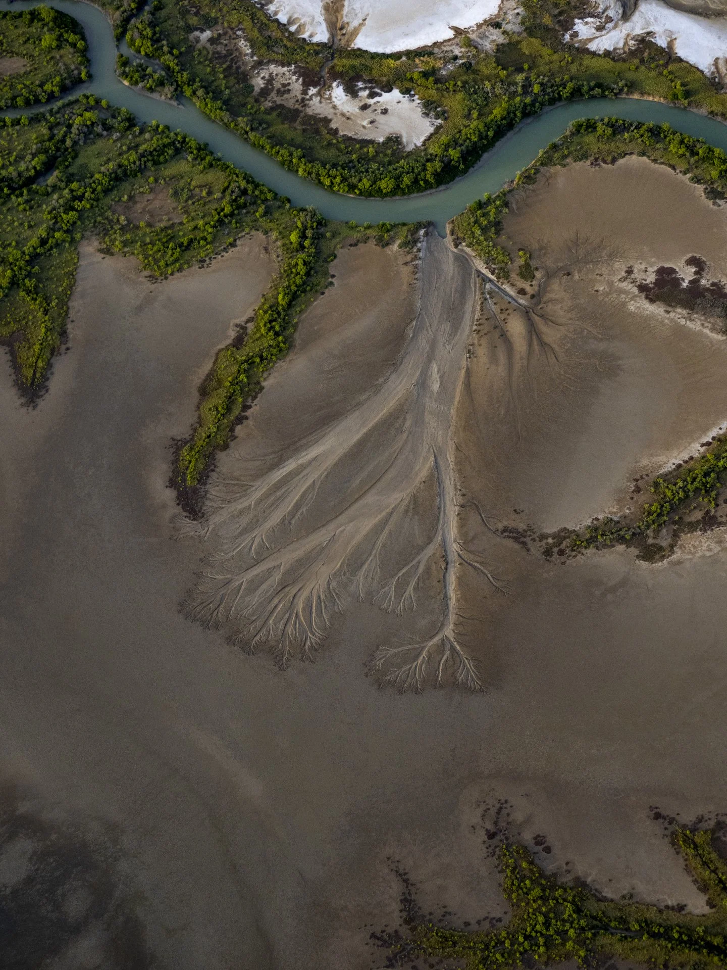 Aerial view of a winding river flowing through a landscape with patches of green trees and brown, barren land.
