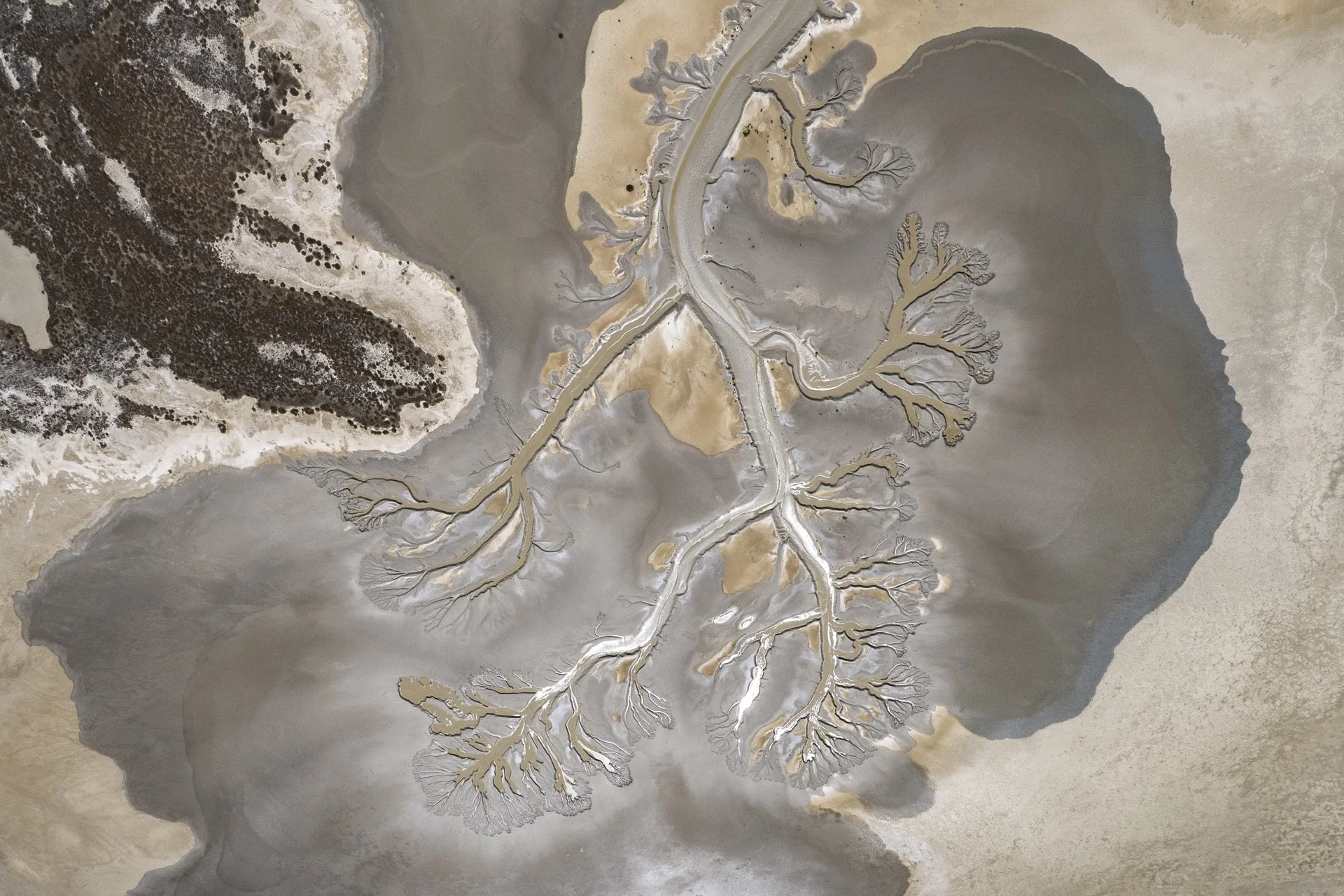 Aerial view of a landscape with a river delta featuring branching waterways, surrounded by dry, sandy terrain and patches of shrubbery and water.