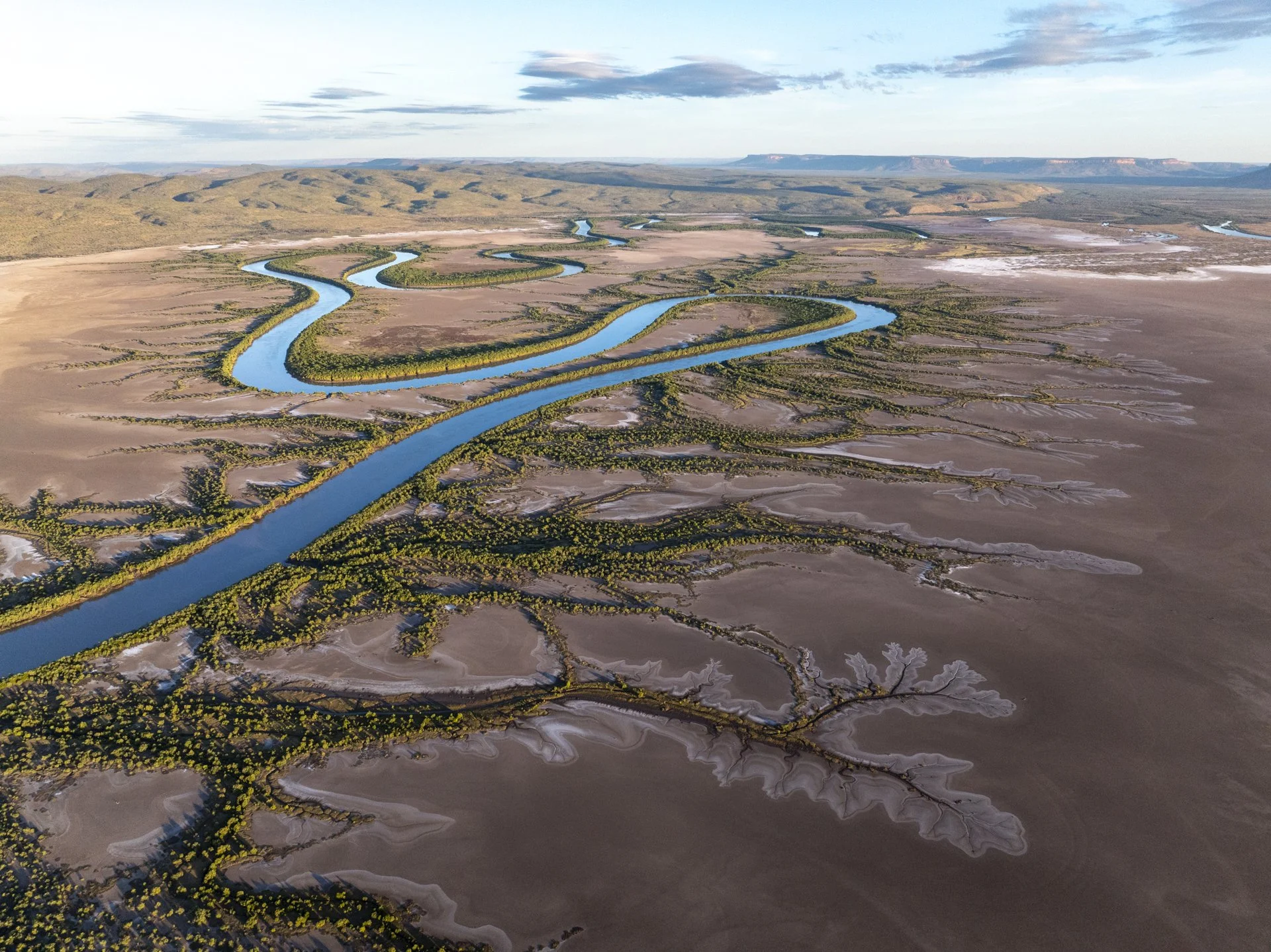 Aerial view of a winding river flowing through a landscape with patches of greenery and barren land, with mountains and a cloudy sky in the background.