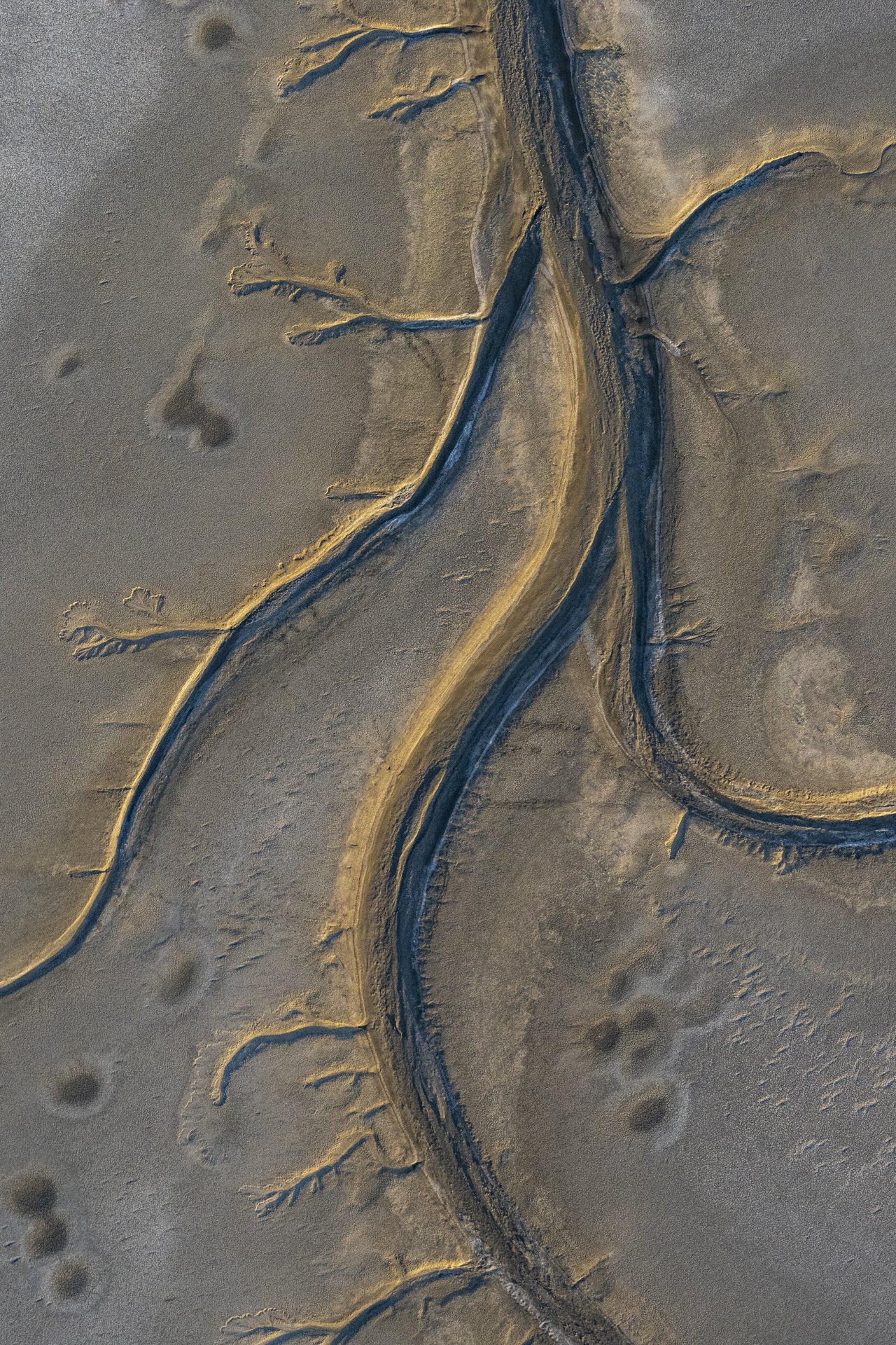 Satellite image of a river branching and flowing through a desert landscape with dry terrain and sparse vegetation.