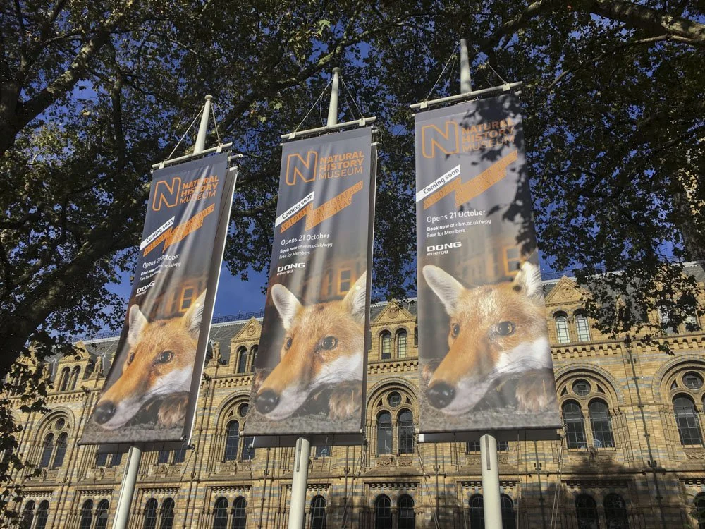 Three vertical banners advertising the opening of the Natural History Museum, featuring a fox's face, with an historic building and trees in the background.
