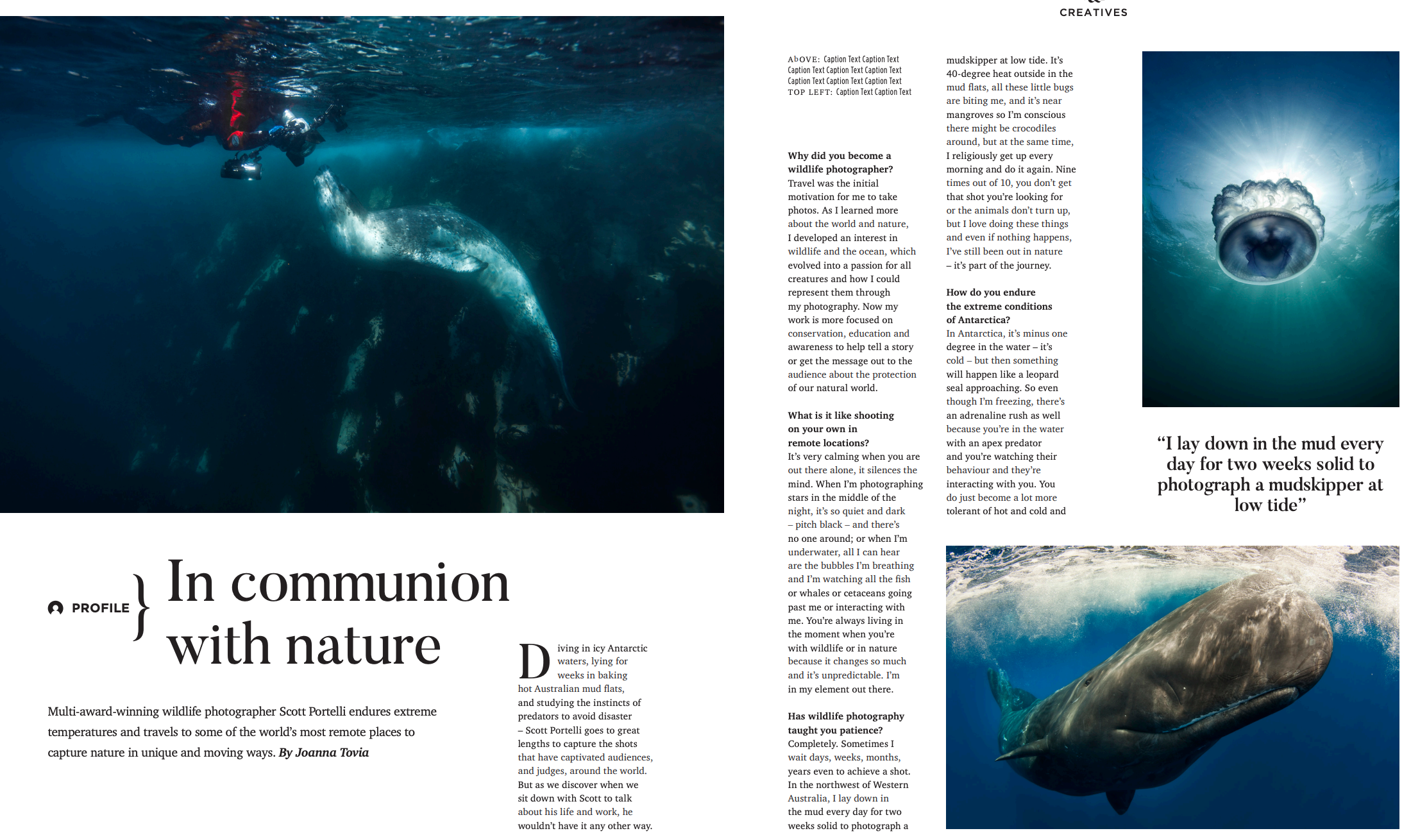 Open magazine spread featuring underwater photography of whales, a diver, and marine life with text about wildlife photography.