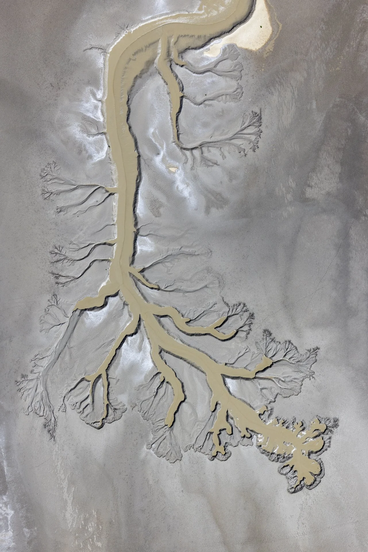 A labyrinthine pattern resembling a river delta or branching system, with a central beige pathway branching into multiple smaller routes, set against a gray and metallic background.