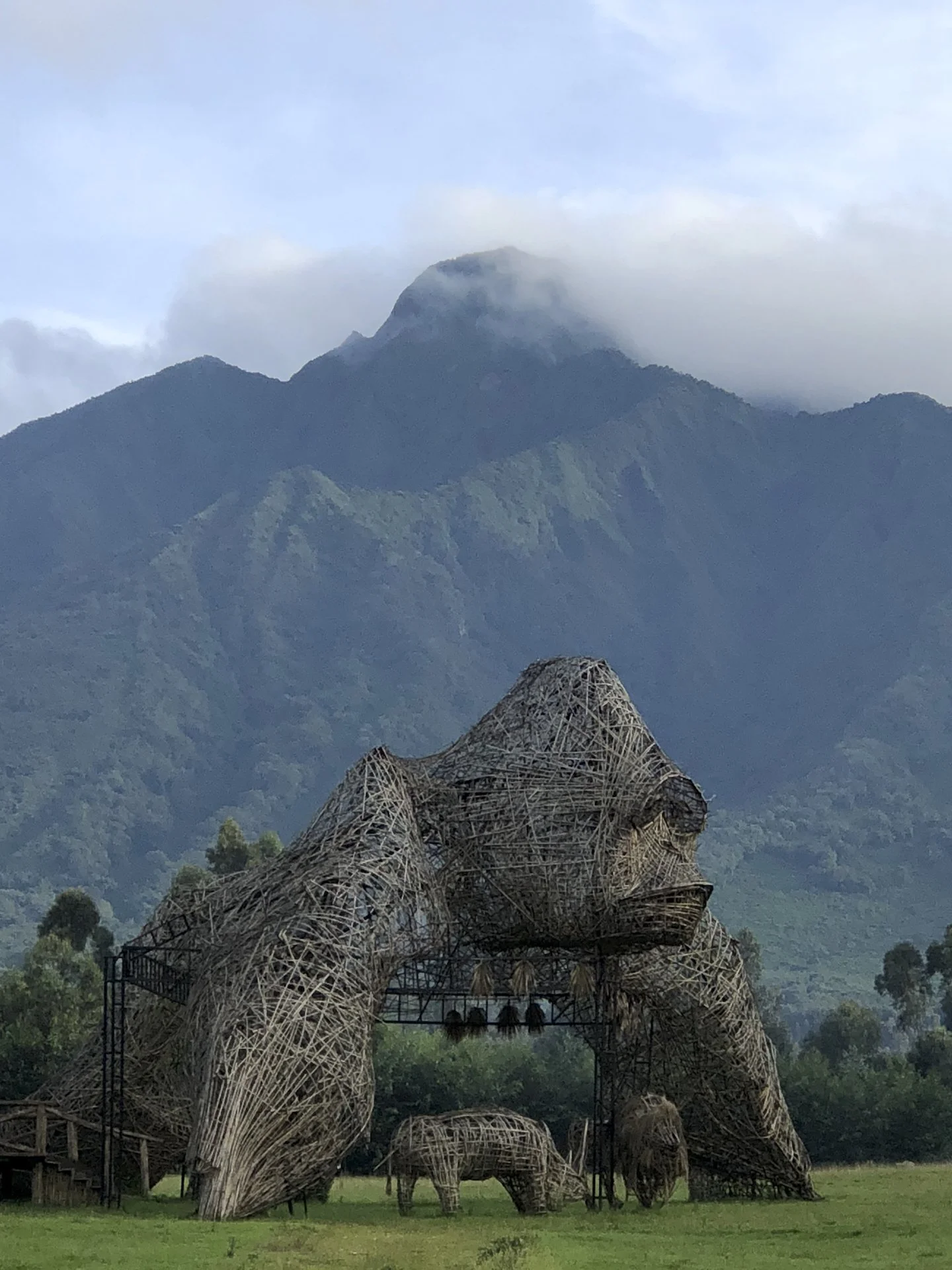 Gorilla sculpture at the Ellen DeGeneres Campus of the Dian Fossey Gorilla Fund in Rwanda.