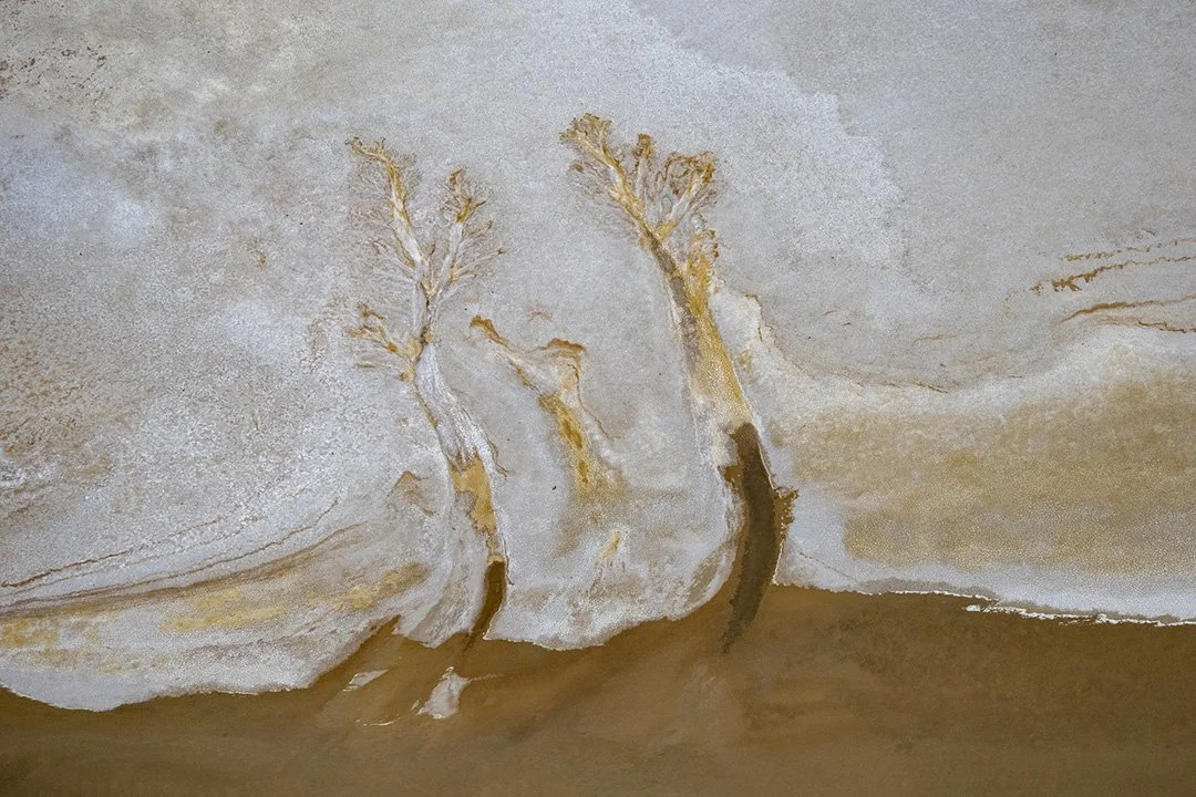 Sandstone pattern resembling two trees with branches.