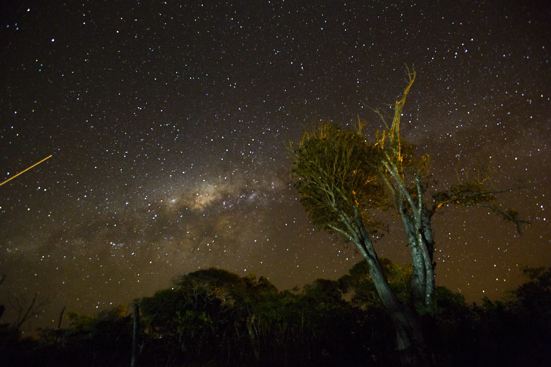 Milky Way rising above the tropical forests of Tonga.