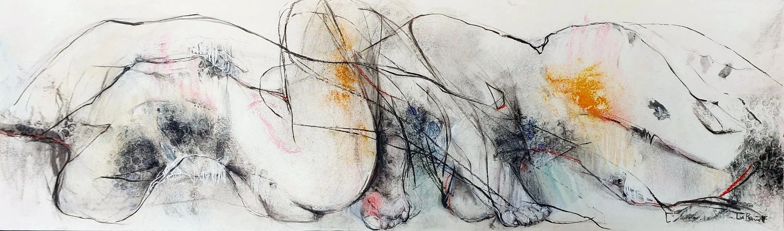 Book of Days | Charcoal and pastel drawing | Lu Bennett