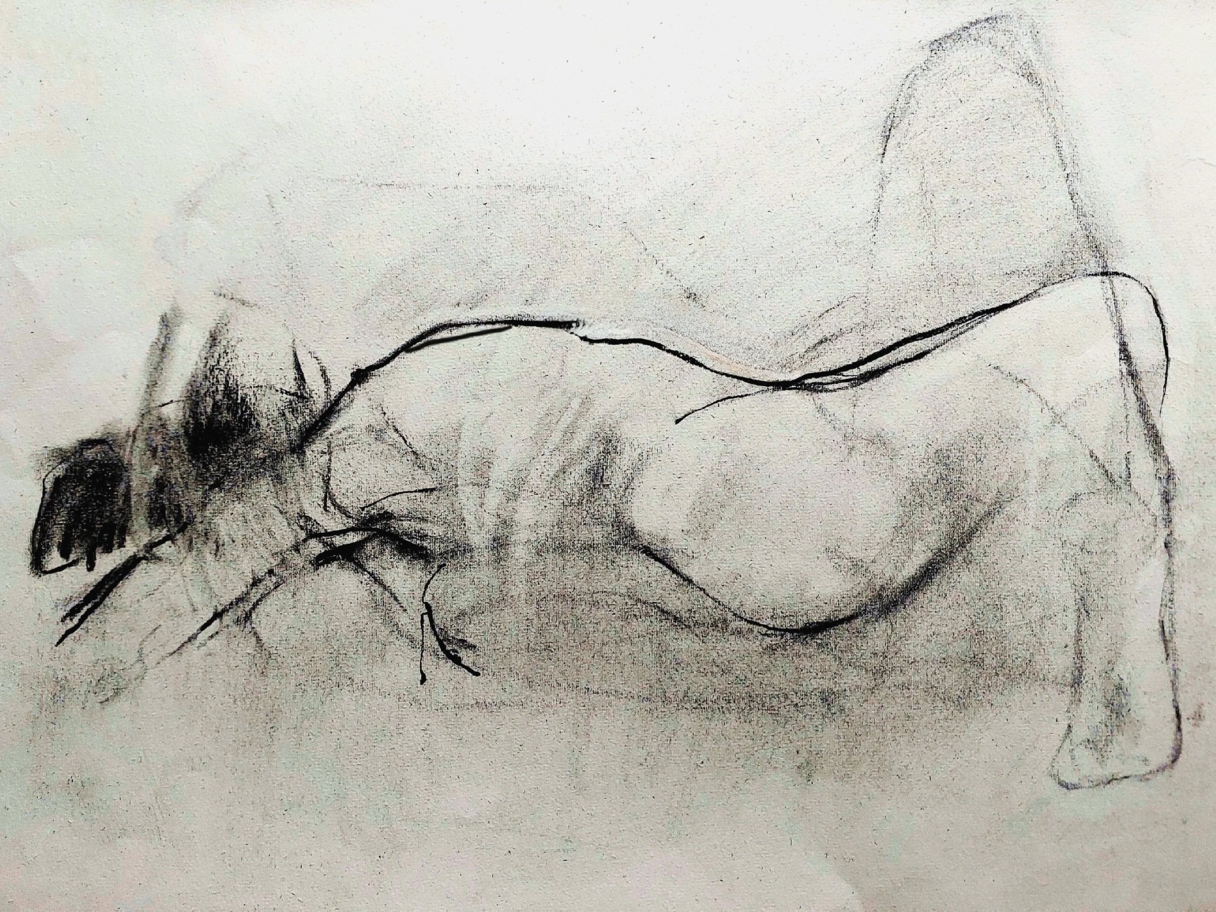  2023 | Charcoal on Hahnemühle Bugra paper | 39 × 52 cm | Artist collection | Model: xelalexelaaa
