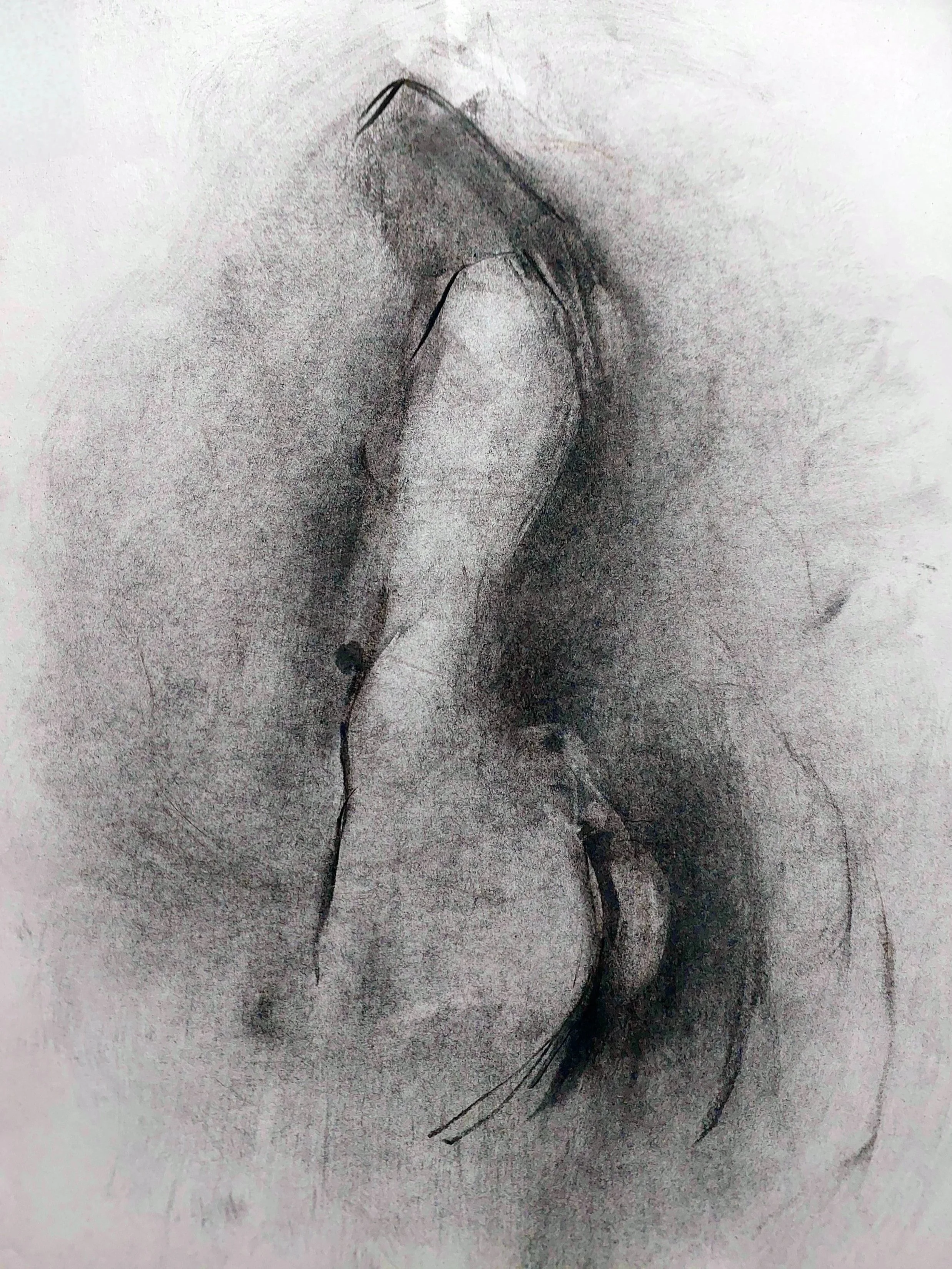 2024 | Charcoal on paper | 28 × 46 cm | Private collection | Model: _angelx_0