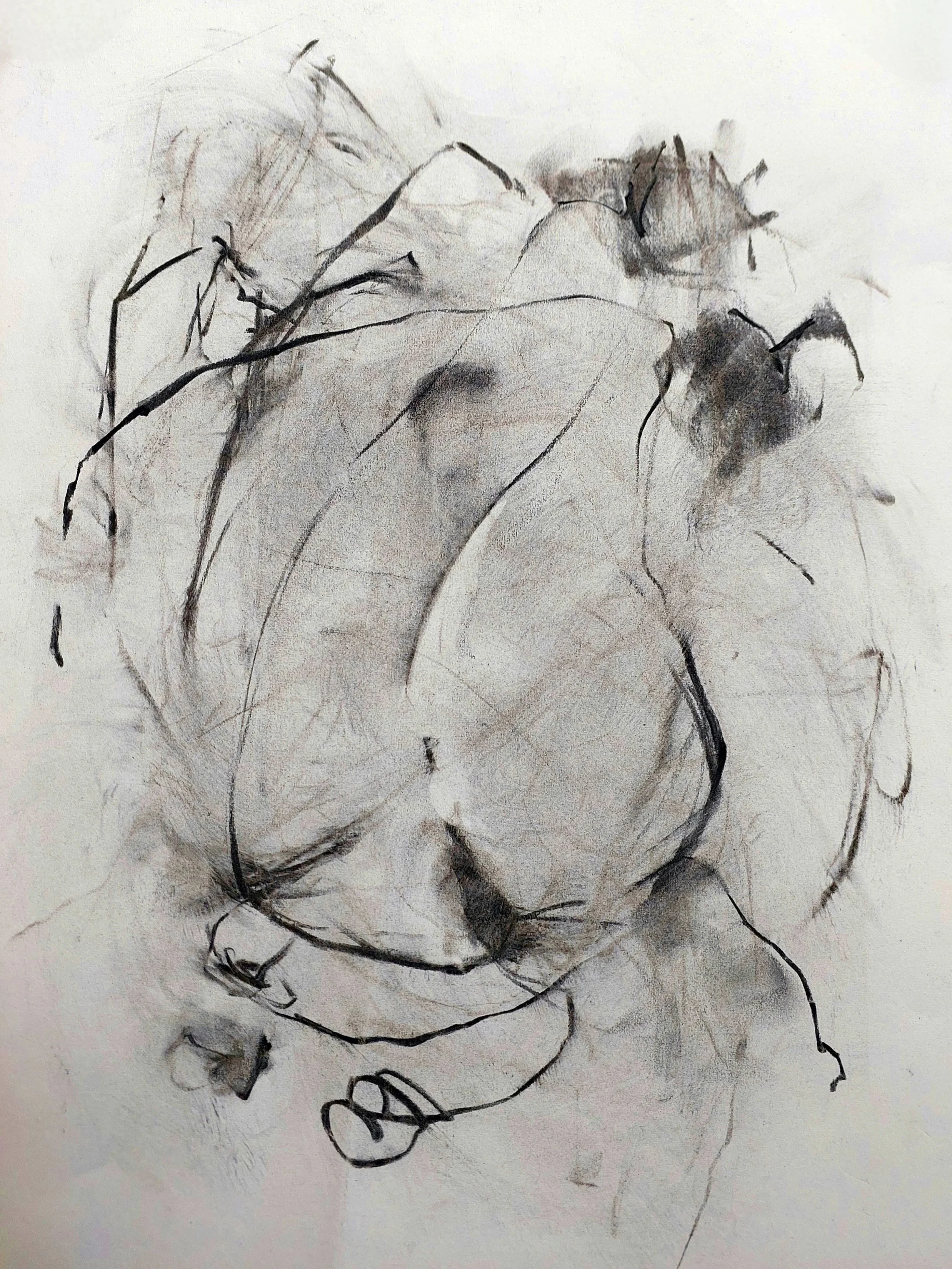 2024 | Charcoal on paper | 28 × 36 cm | Artist collection | Model: xelalexelaaa
