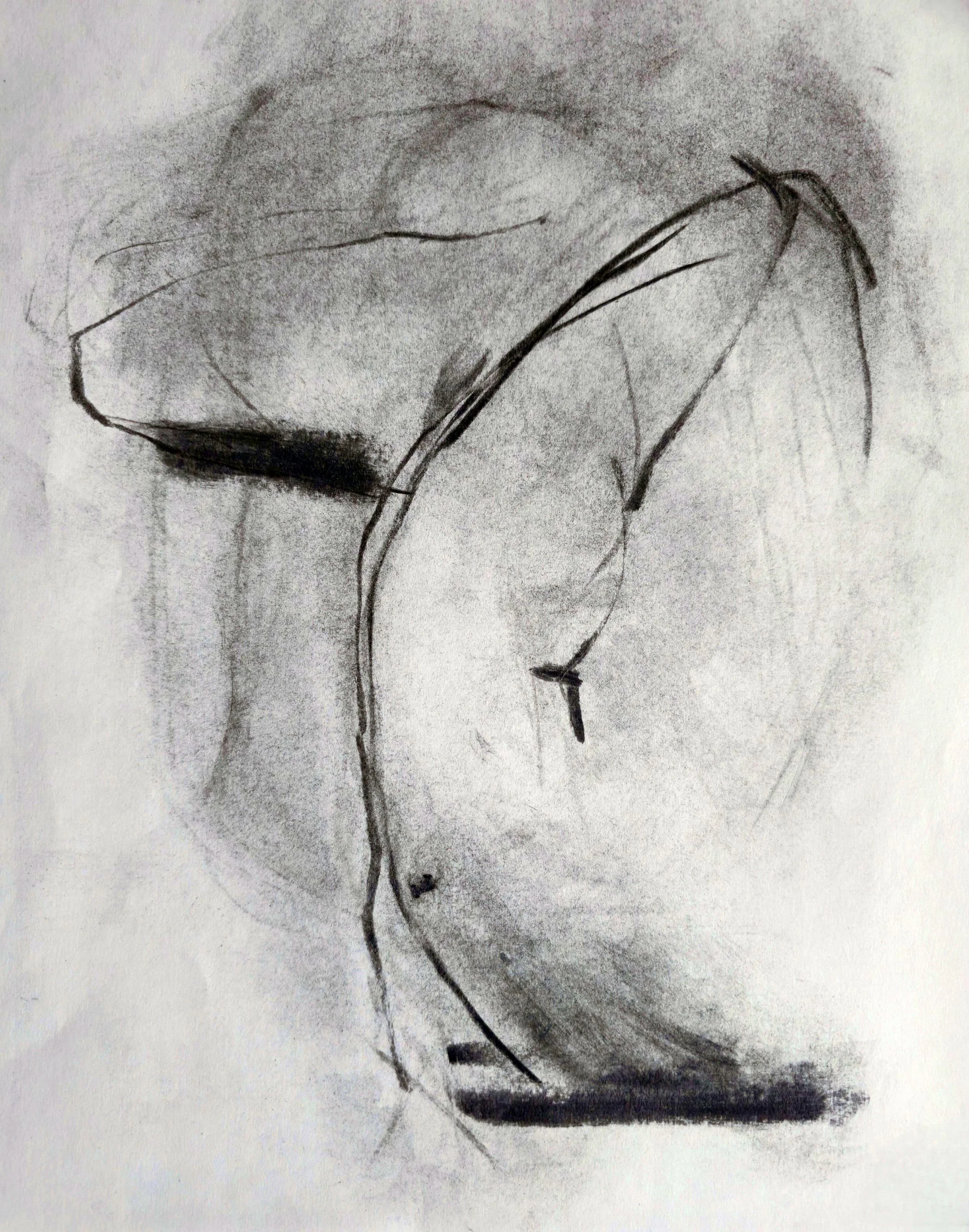 2025 | Charcoal on paper | 28 x 36cm | Artist collection | Model: kootenayrosehaus3