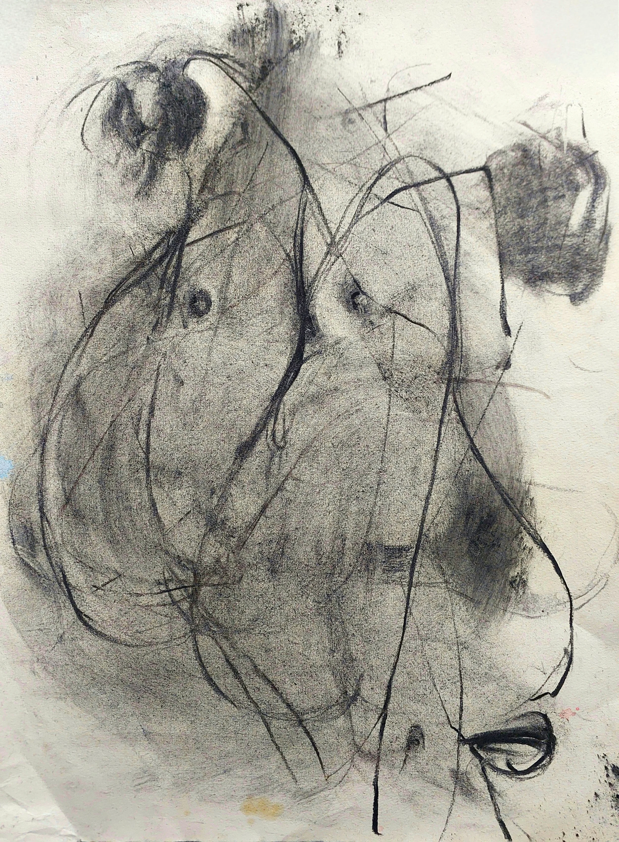 2024 | Charcoal on Hahnemühle Bugra paper | 39 × 52 cm | Artist collection | Model: xelalexelaaa
