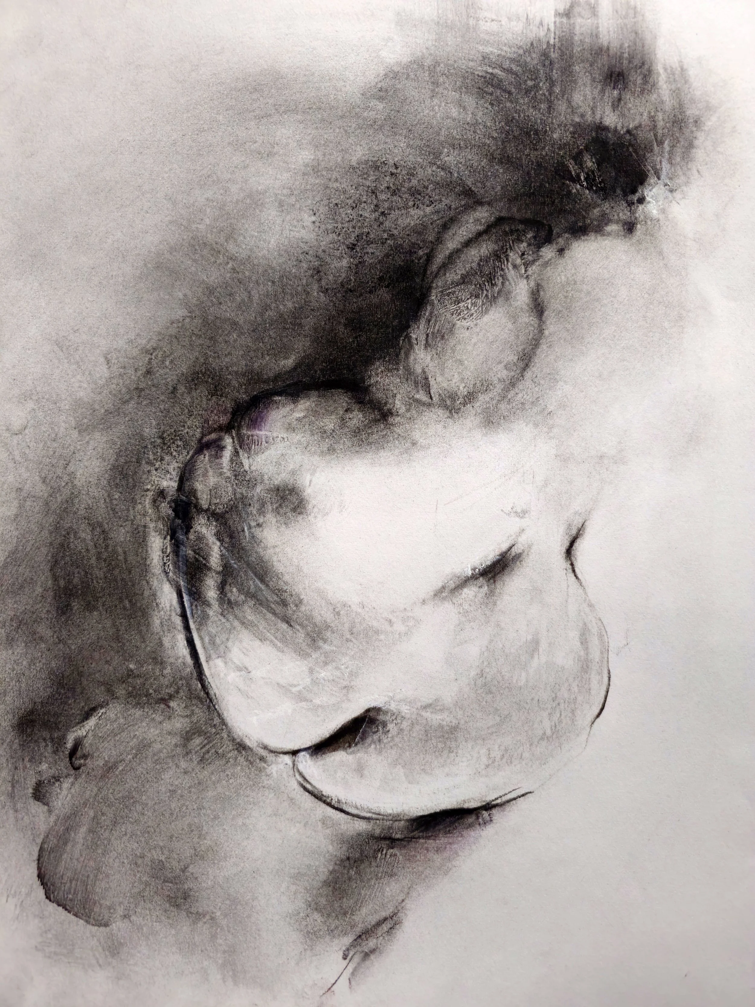 Iterations of Presence | 2025 | Charcoal on paper | 28 × 36 cm | Private collection | Model: BodyArtLove