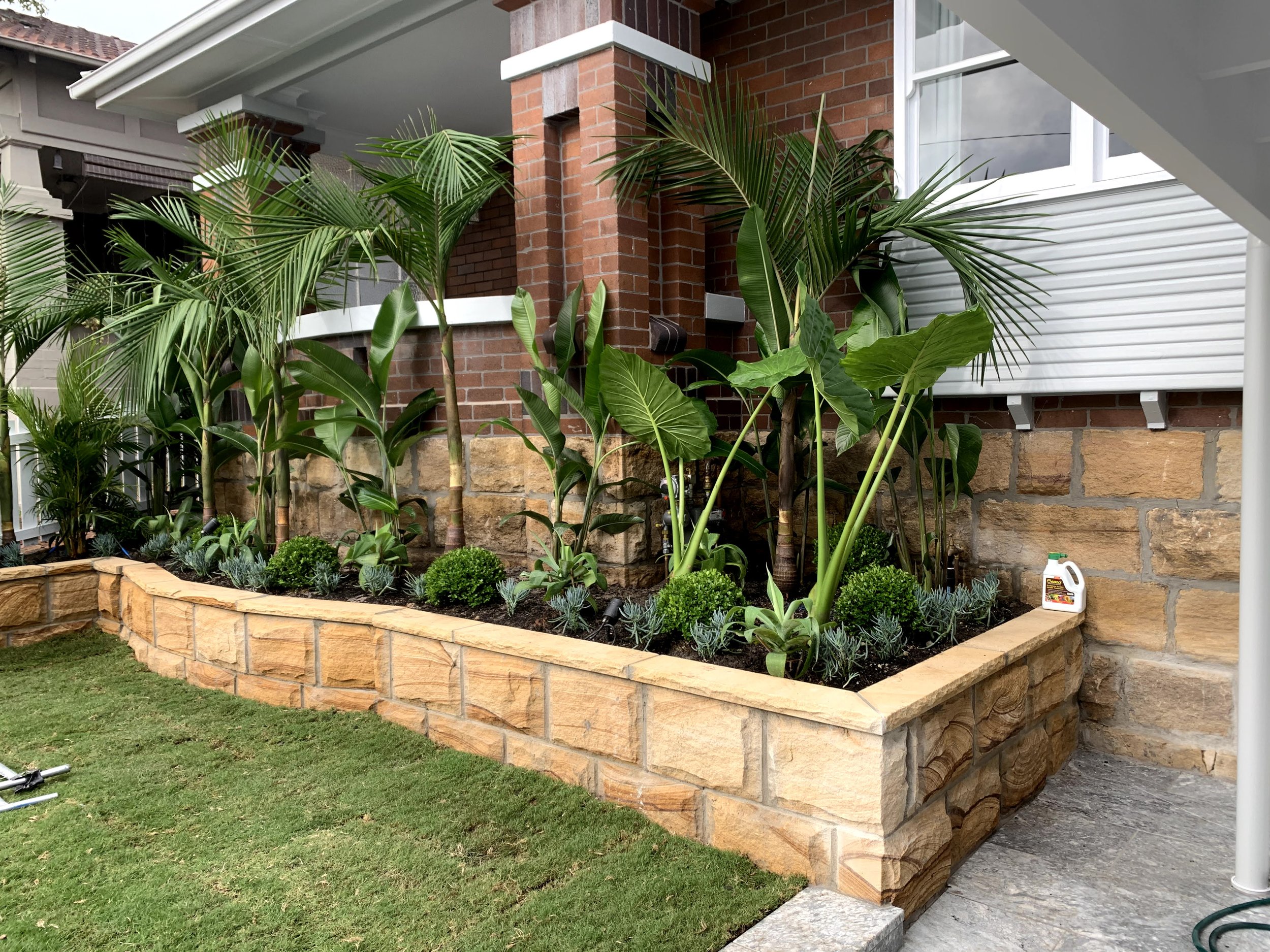A backyard garden with a brick raised planter box filled with lush green plants, including palm trees and other leafy plants, in front of a house with brick and siding exterior.
