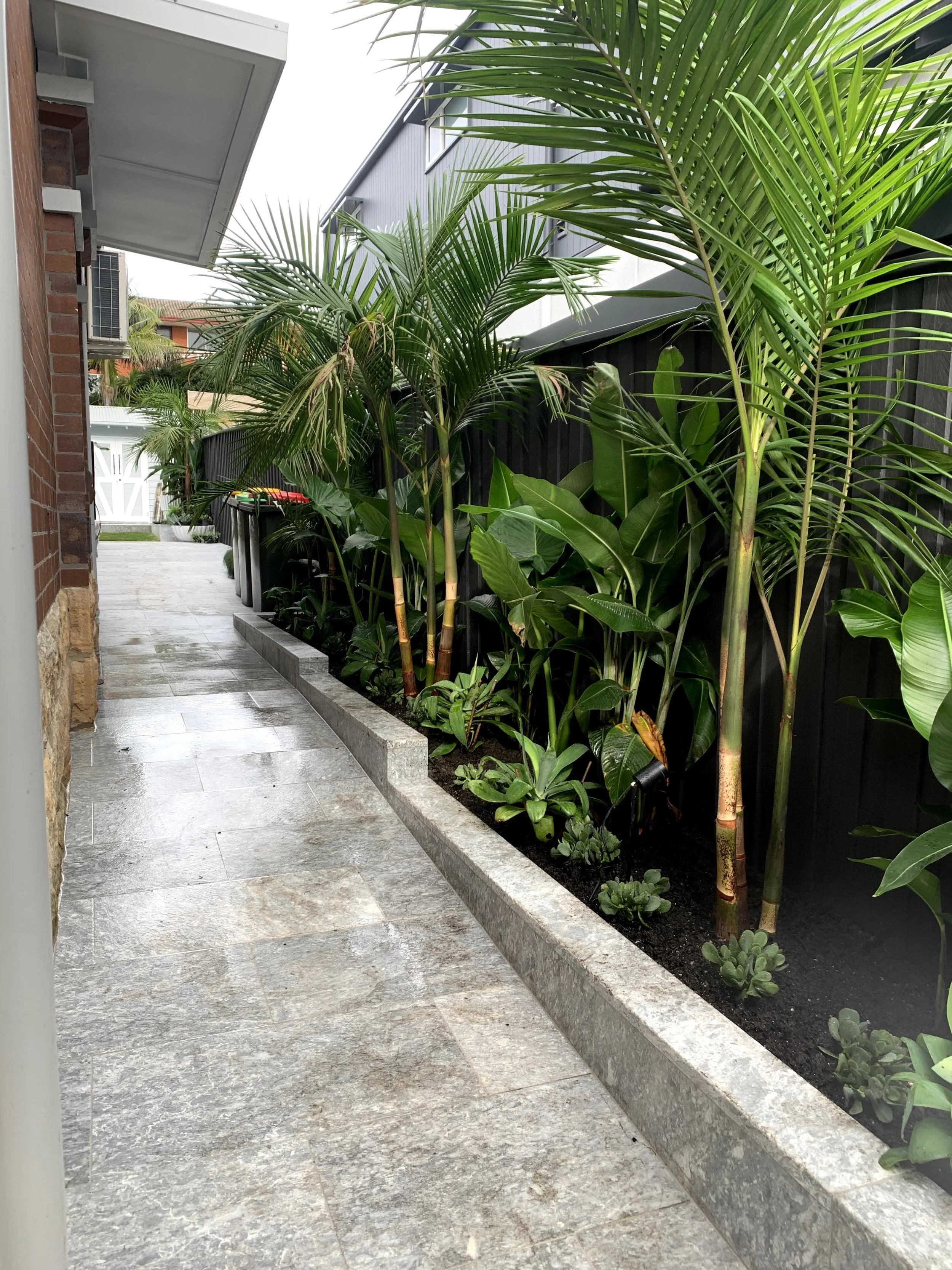 A narrow outdoor patio area with a stone tile floor, bordered by a garden bed filled with tropical green plants including palm trees and broad-leafed plants, with a black wooden fence on one side and a brick wall on the other. In the background, ther