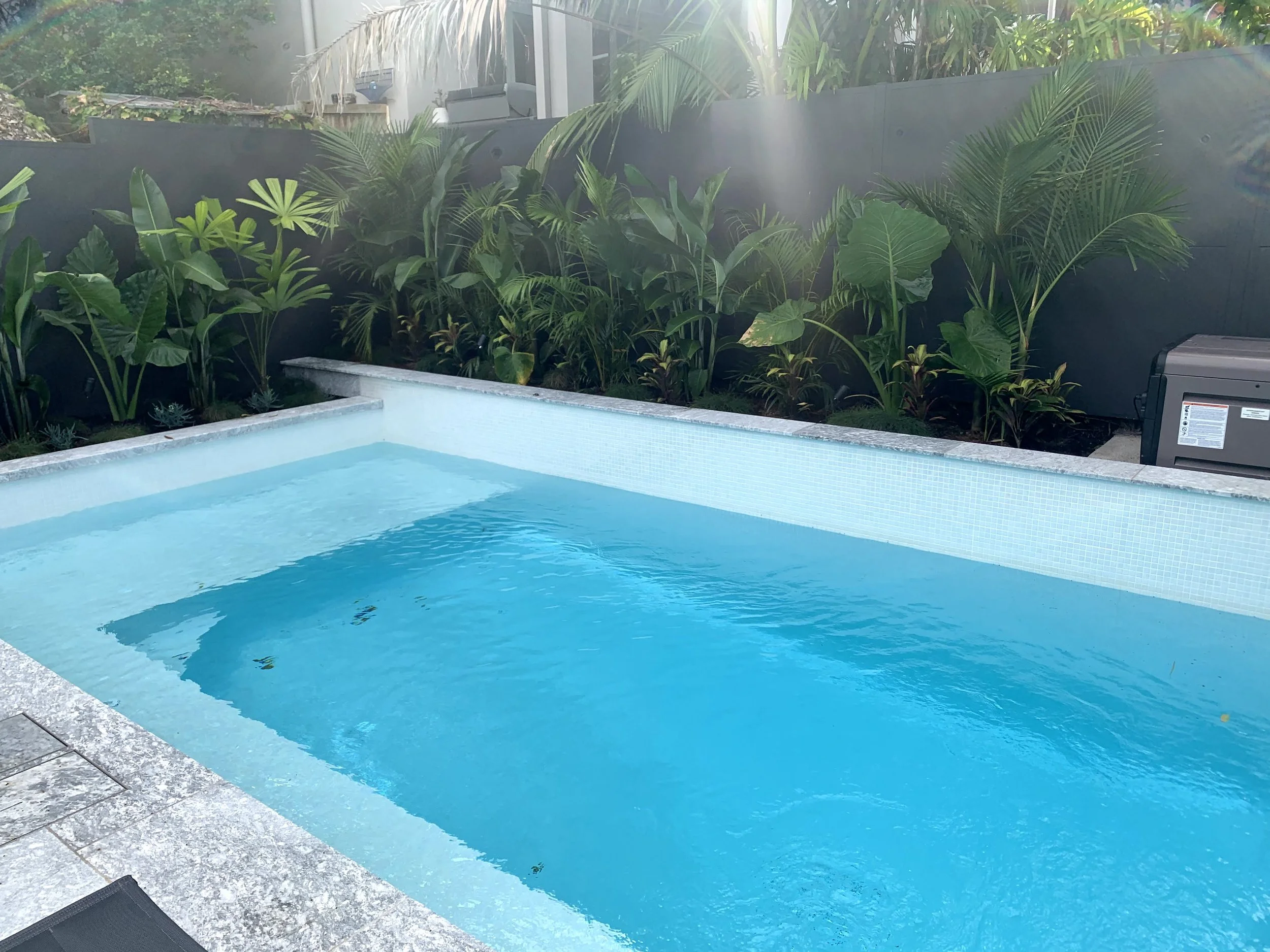 Swimming pool with blue water, surrounded by gray tile, and a planter box with green tropical plants behind a gray wall.