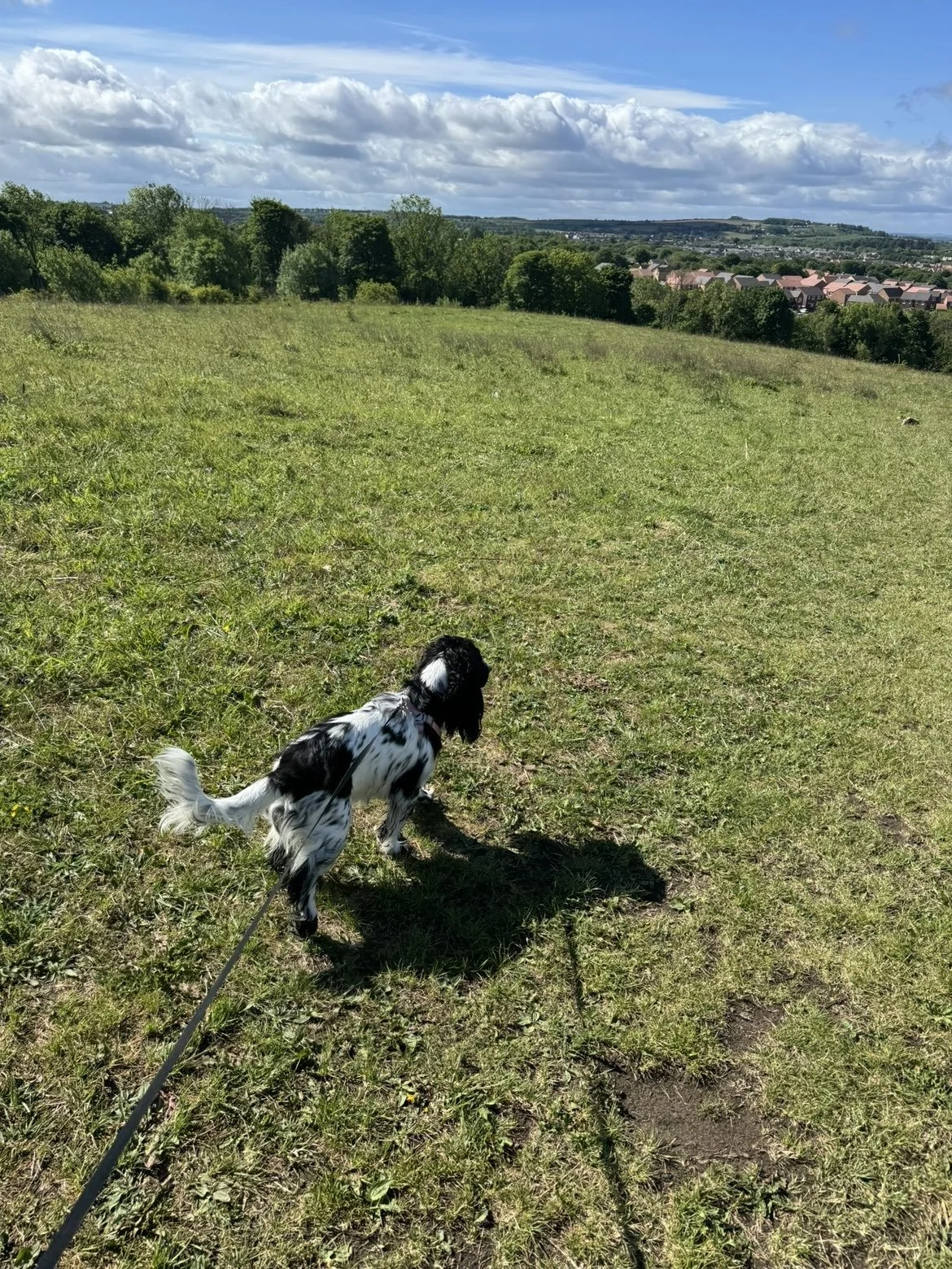 IMG_5664.jpeg