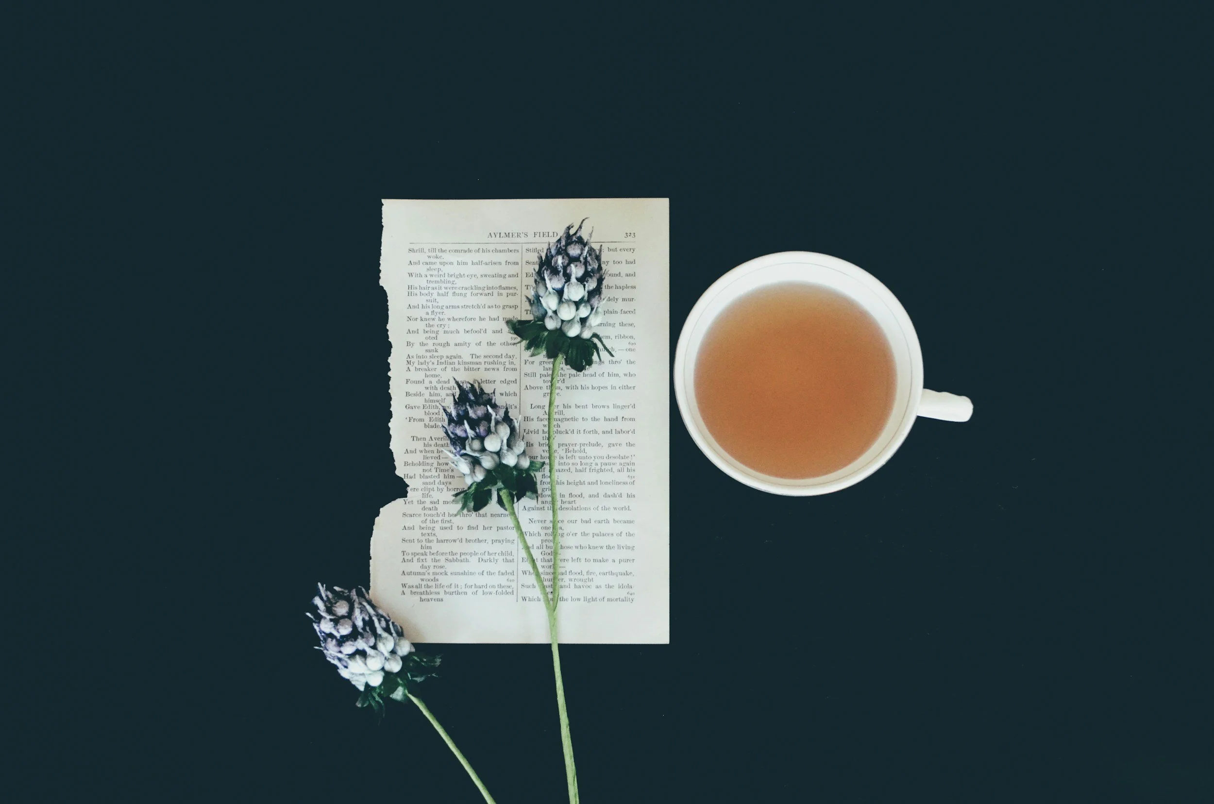 A dark blue surface with a torn page of text from a book, a small sprig of flowers with green leaves and purple and white buds resting on the page, a white mug filled with a pinkish beverage, and a white plate with a matching spoon.
