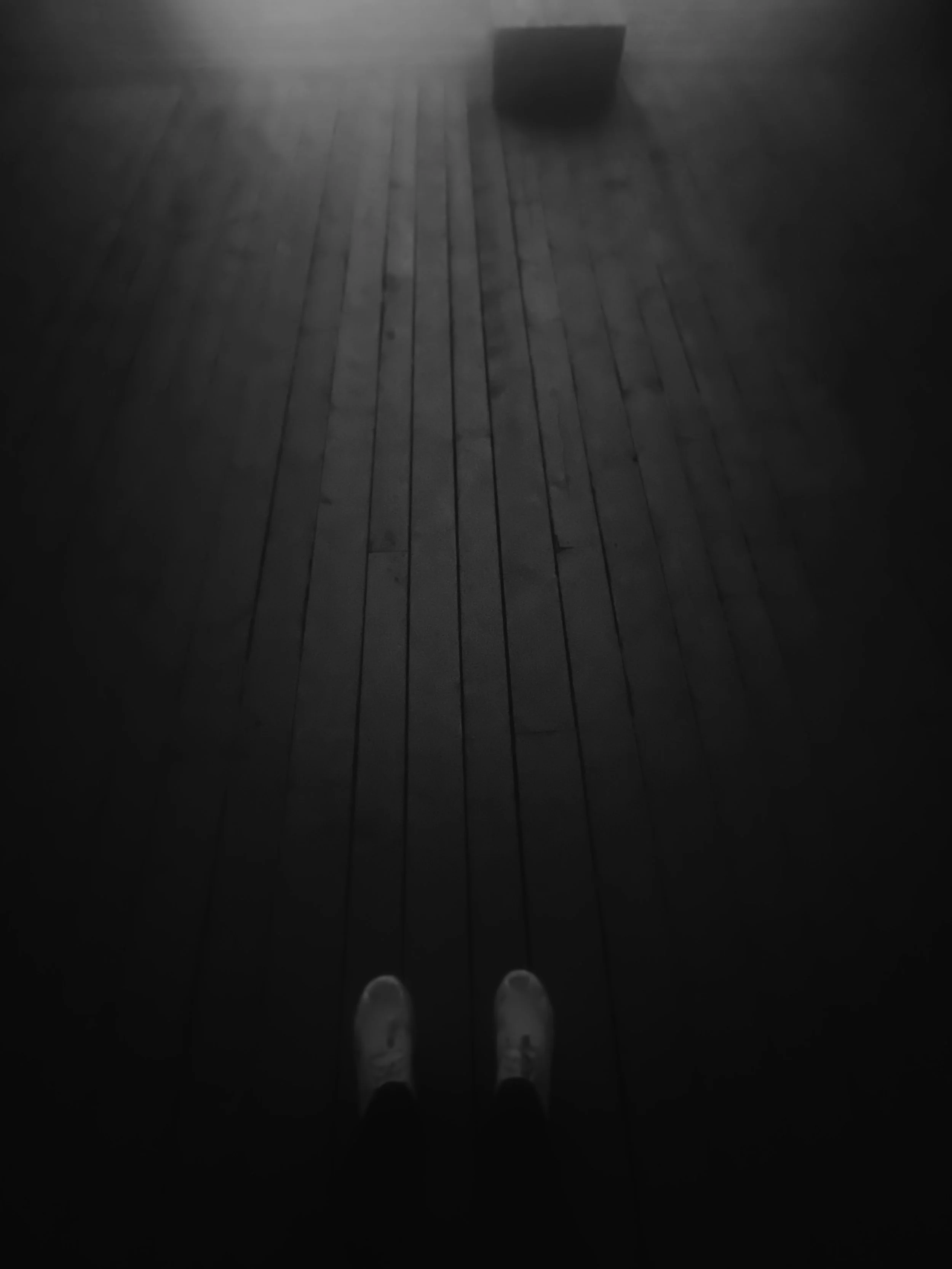 TTInputImage-694364936.943928 Kopie.jpeg
