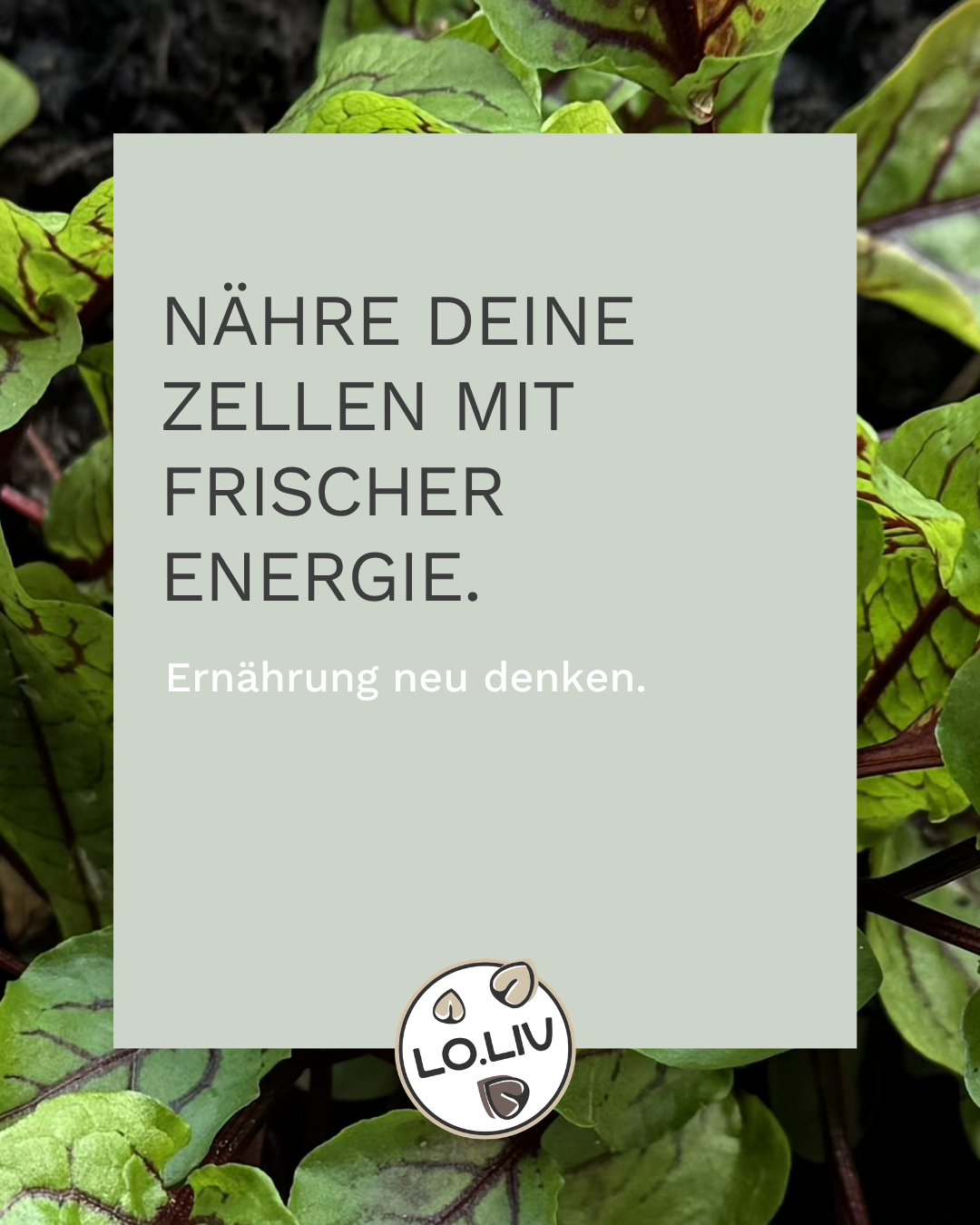 Verlinkung zu einem Post von Instagram: "Nähre deine Zellen mit frischer Energie. Ernährung neu denken."