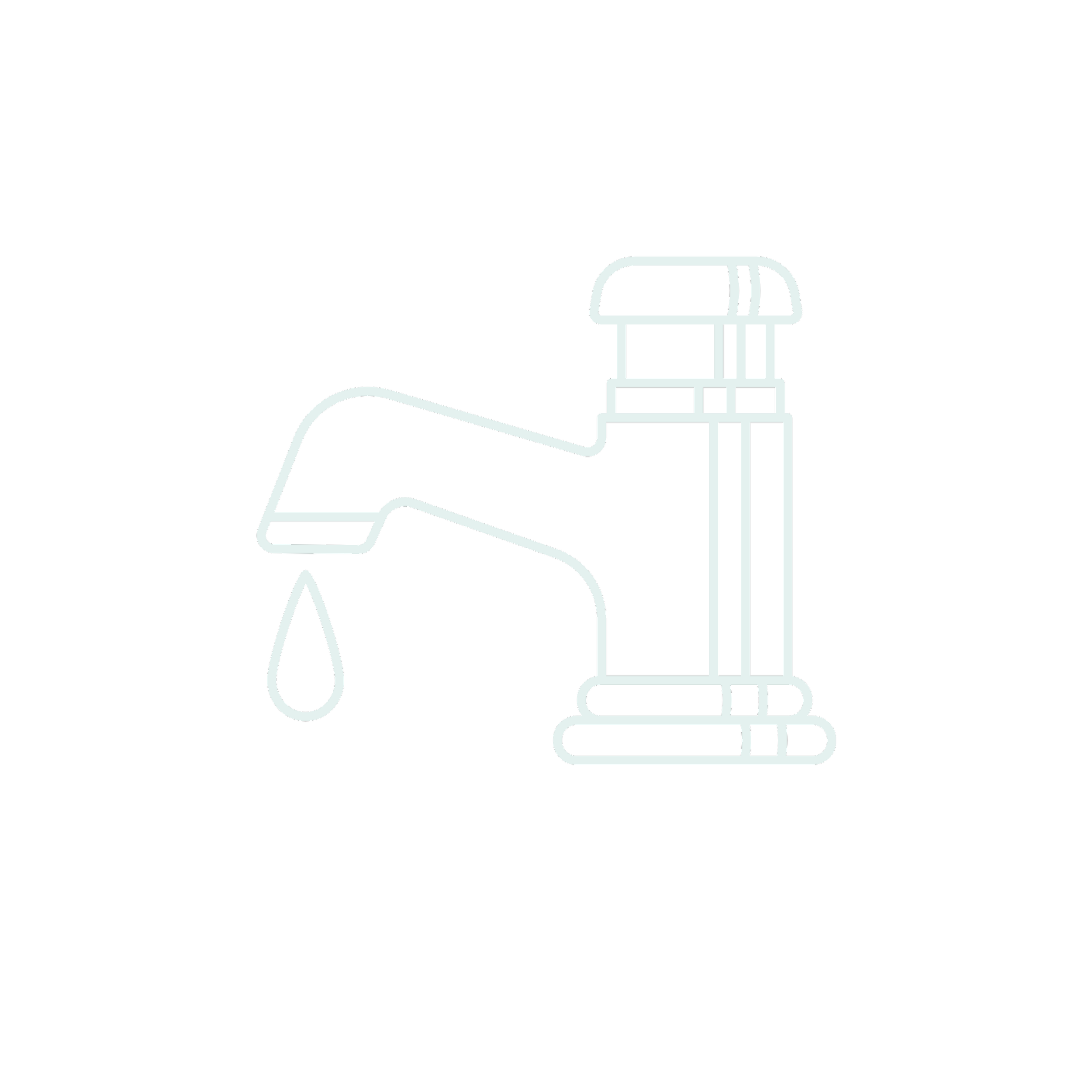Plumbing & Water Systems