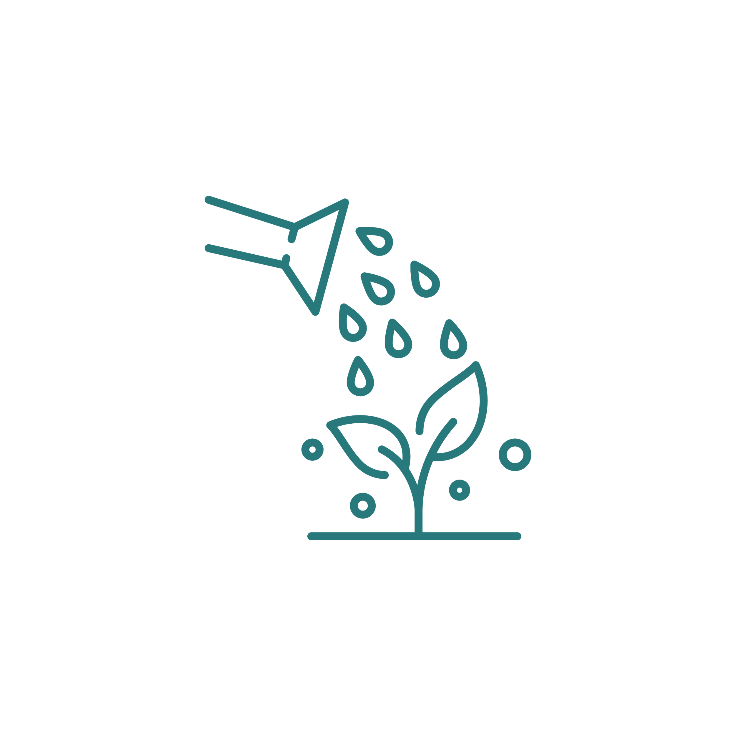 Plant Care & Watering