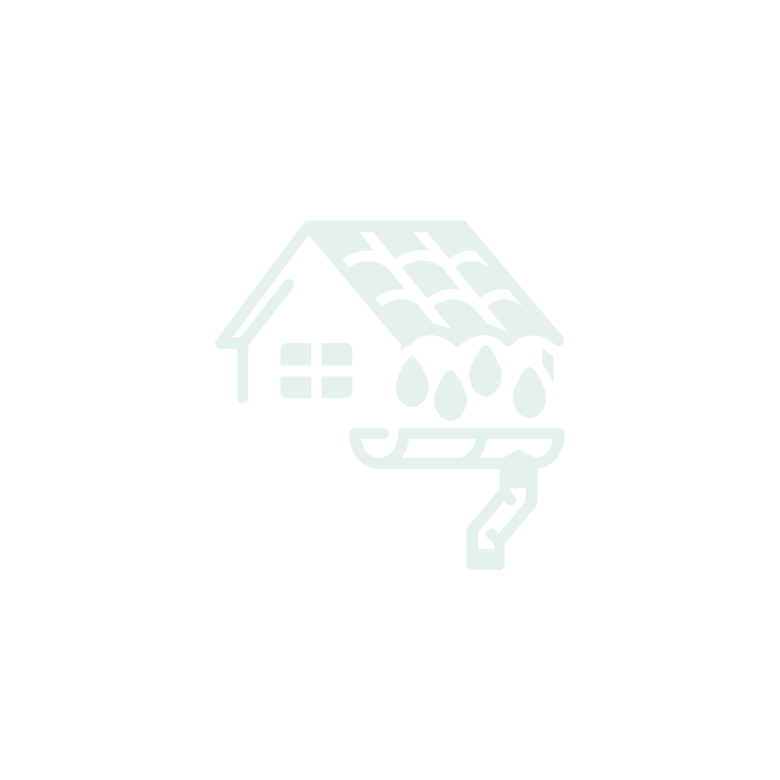 Property & Roofline Check