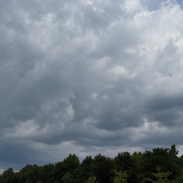 Storm Response & Advisory