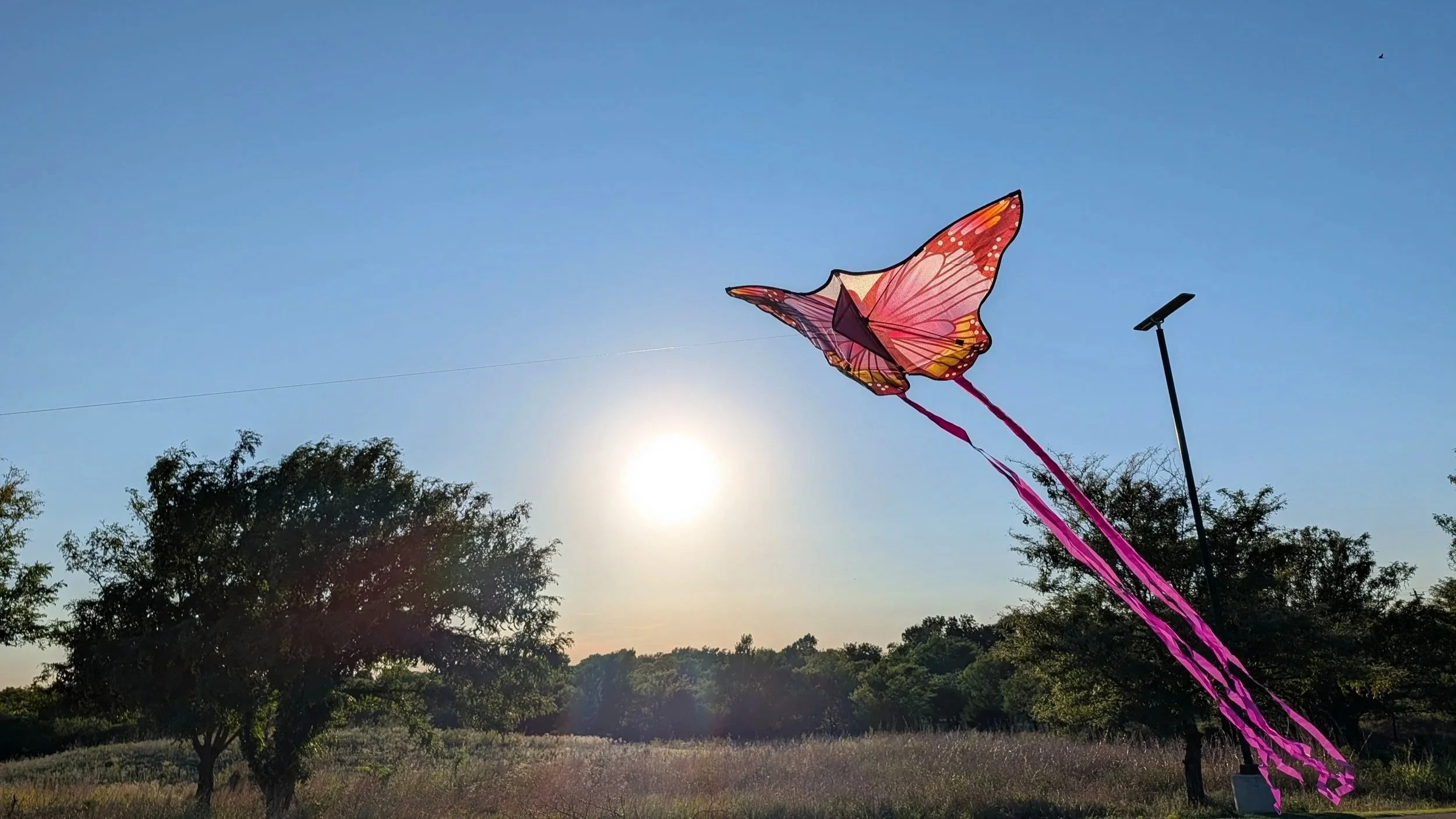 A colorful butterfly-shaped kite flying in the sky during sunset, with trees and a streetlight in the background.