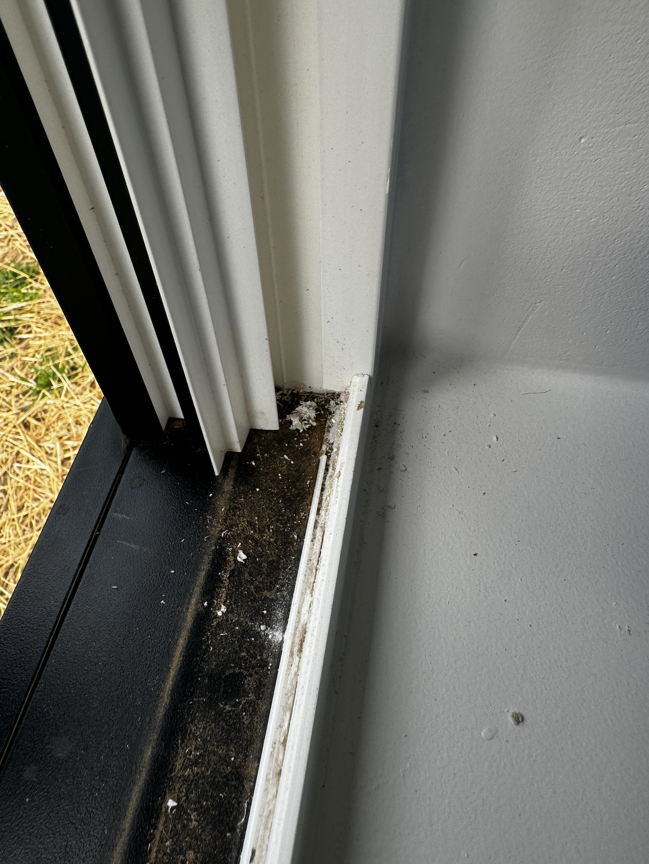 Close-up photo of a window frame sill showing dirt, dust, and debris buildup in the corner near the wall.
