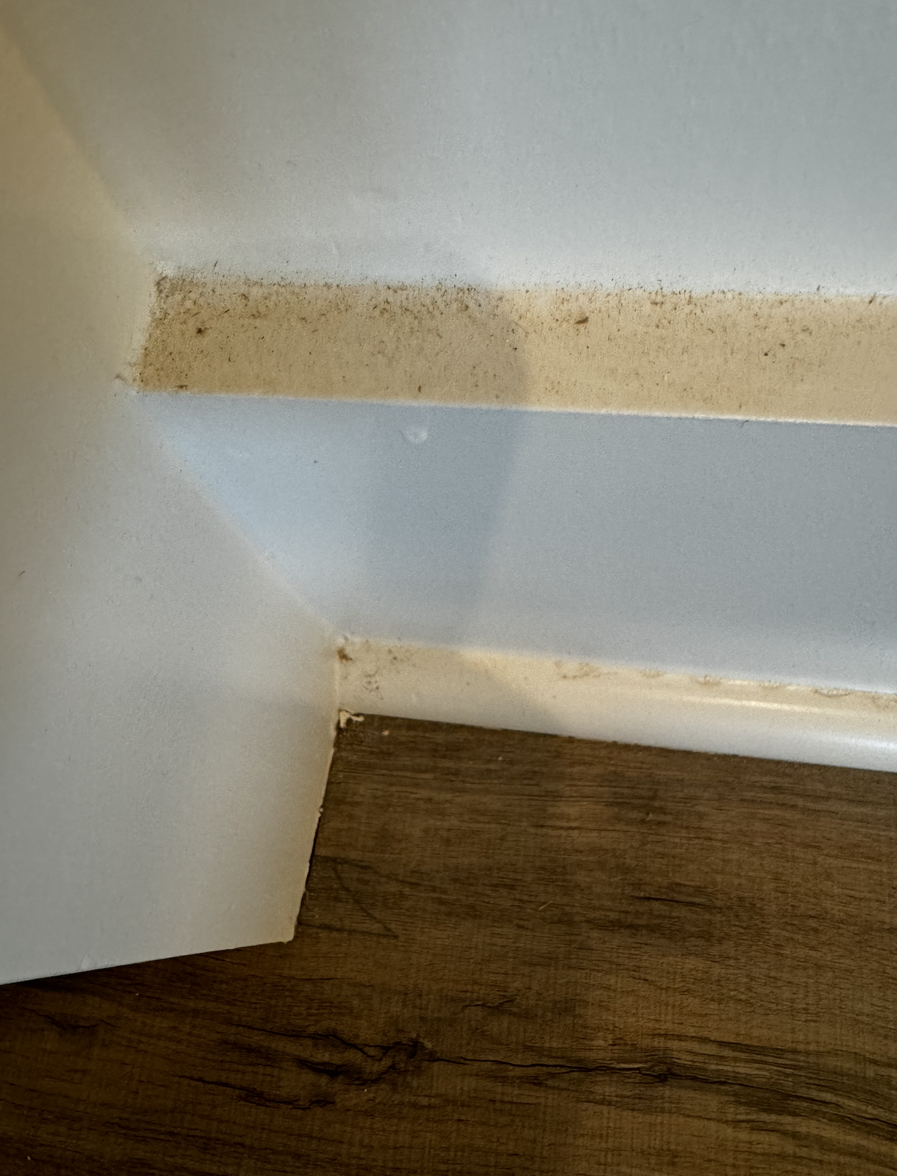 A corner of a room where the wall meets the floor. The wall has a section with dirty dust or mold along the baseboard, and the floor is wood with visible grain.