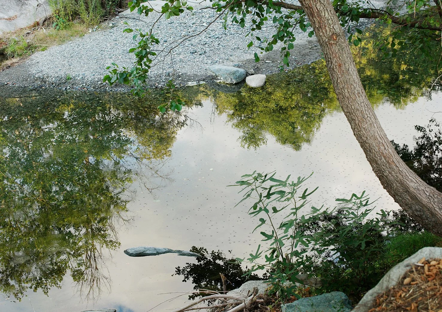 la riviere, Corsica