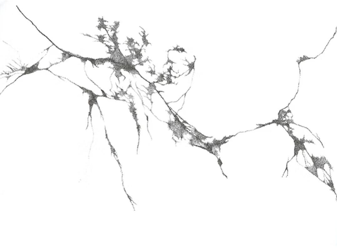 Une image en noir et blanc représentant un réseau de fissures ou de lignes de fracture sur une surface blanche.