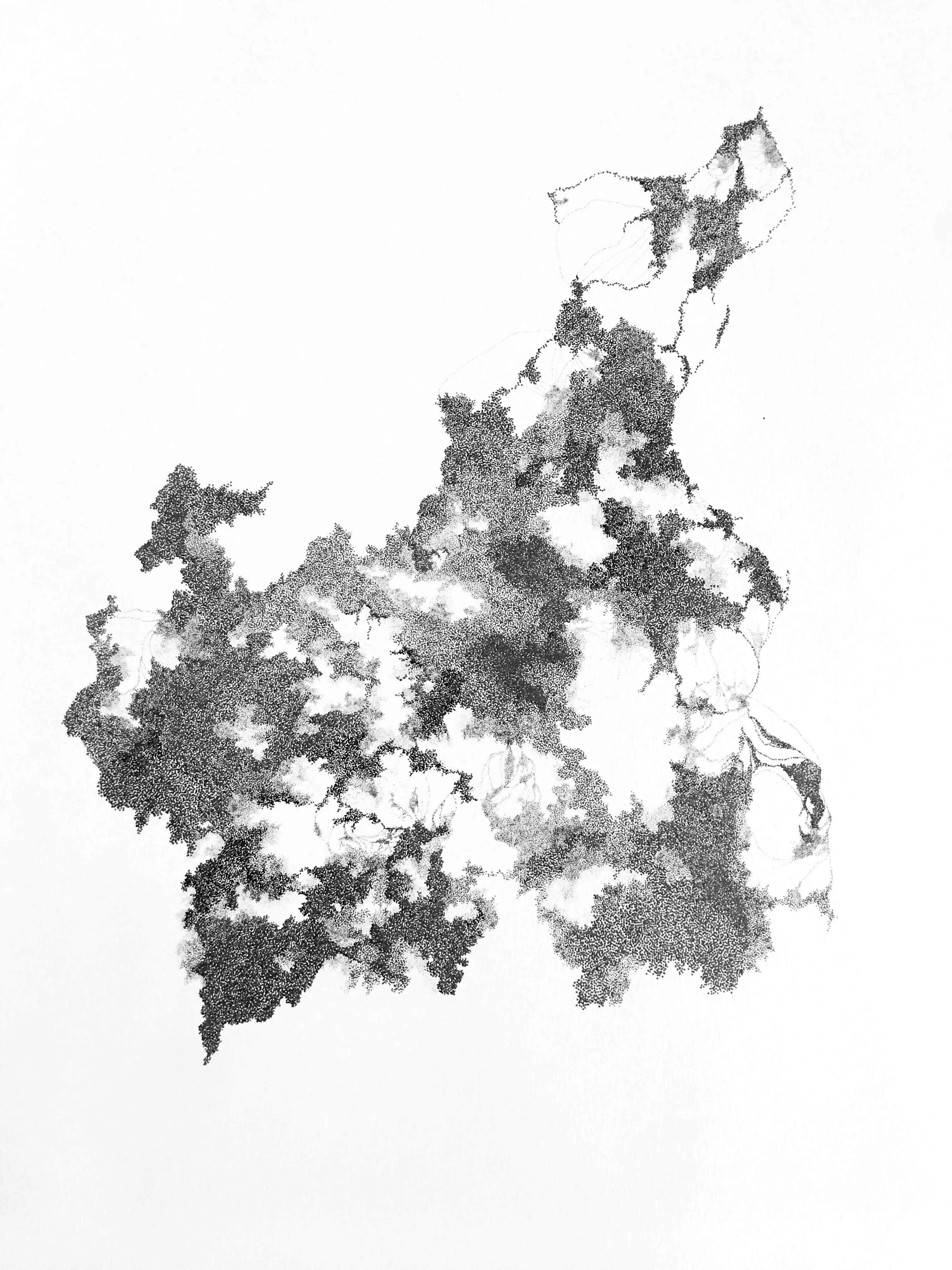 Carte de l'Italie avec des zones en noir représentant différentes régions.