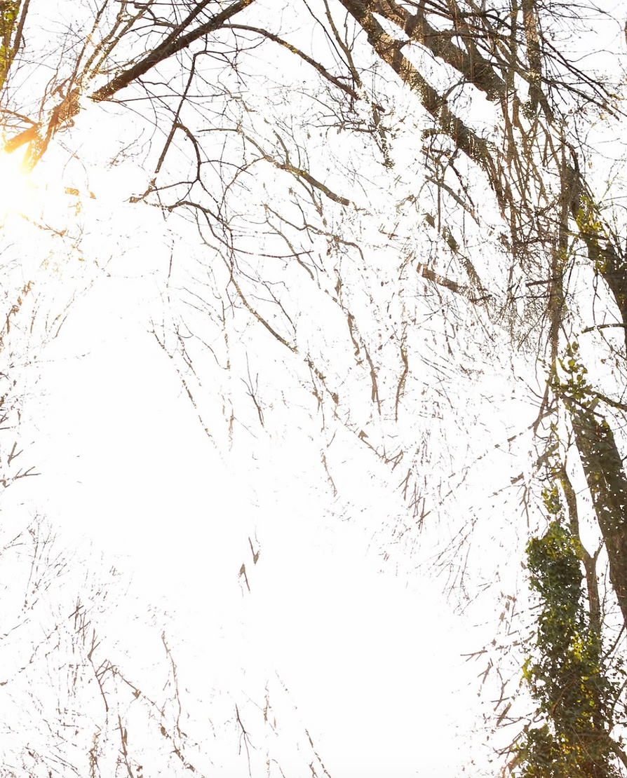 Ciel vu à travers des branches d'arbres sans feuilles, avec un soleil brillant à gauche.