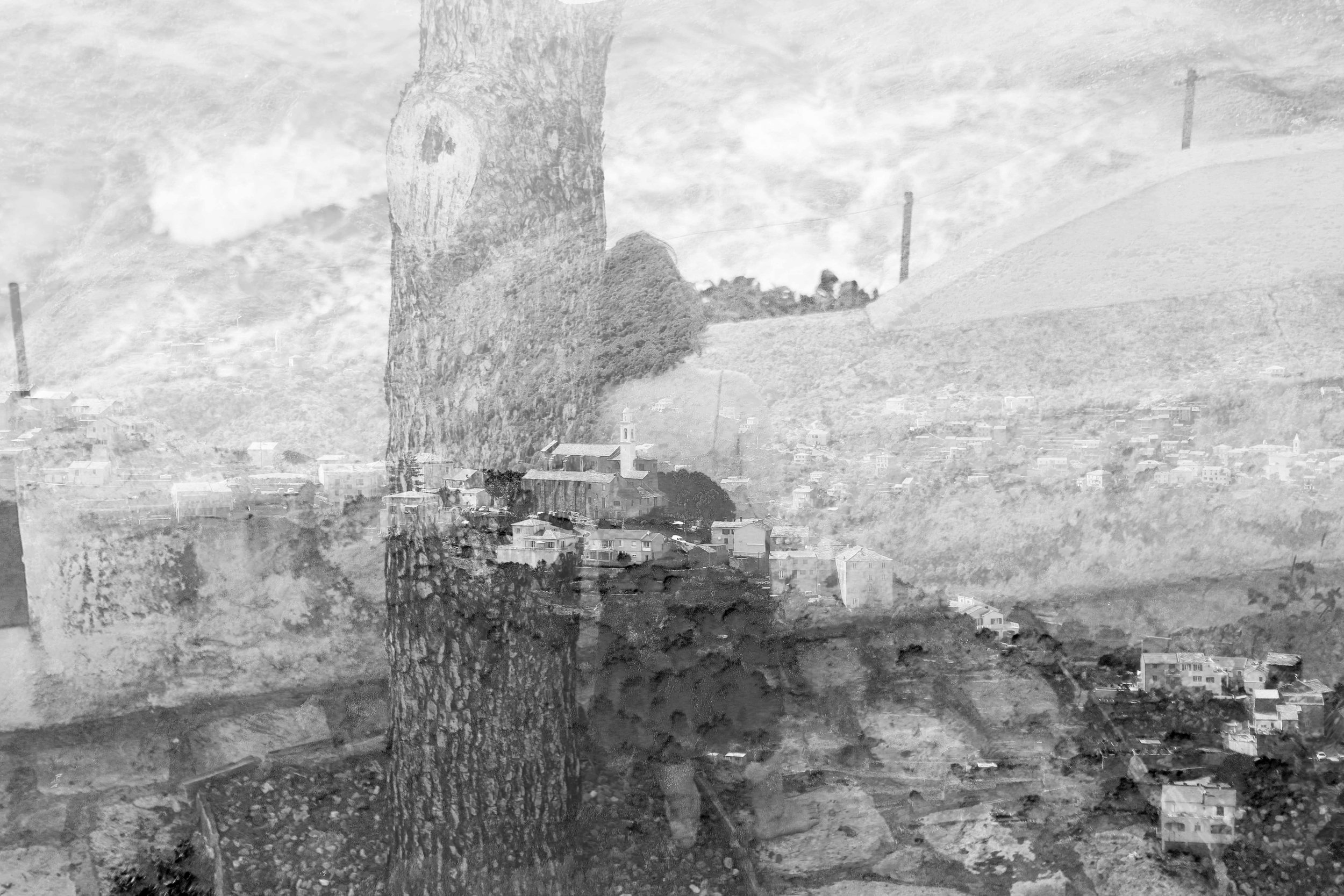 Une image en noir et blanc montrant un arbre au premier plan avec une ville ou un village en contrebas, comprenant des maisons et un bâtiment religieux avec une croix.